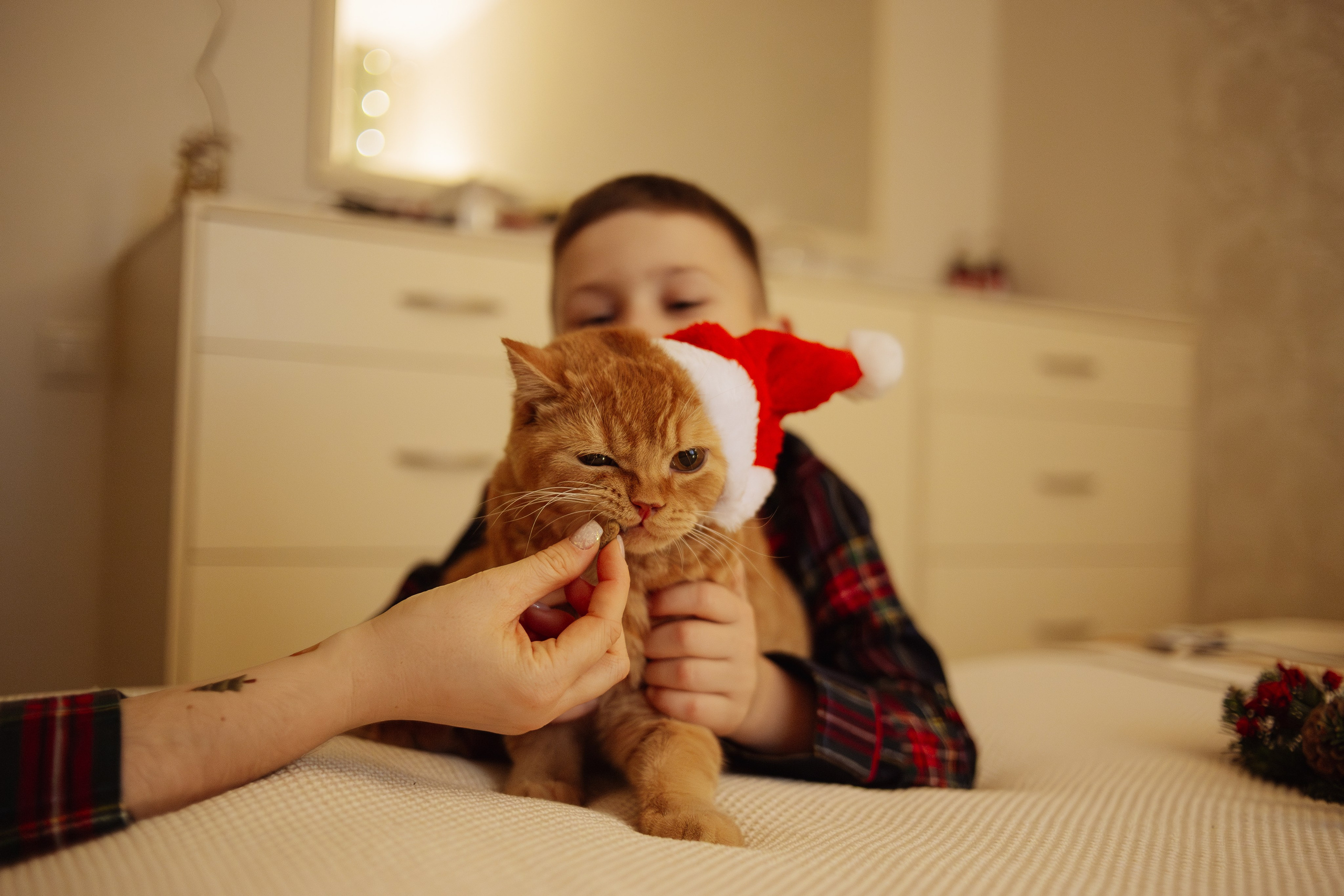 Домашняя. Фотограф Москва / Балашиха