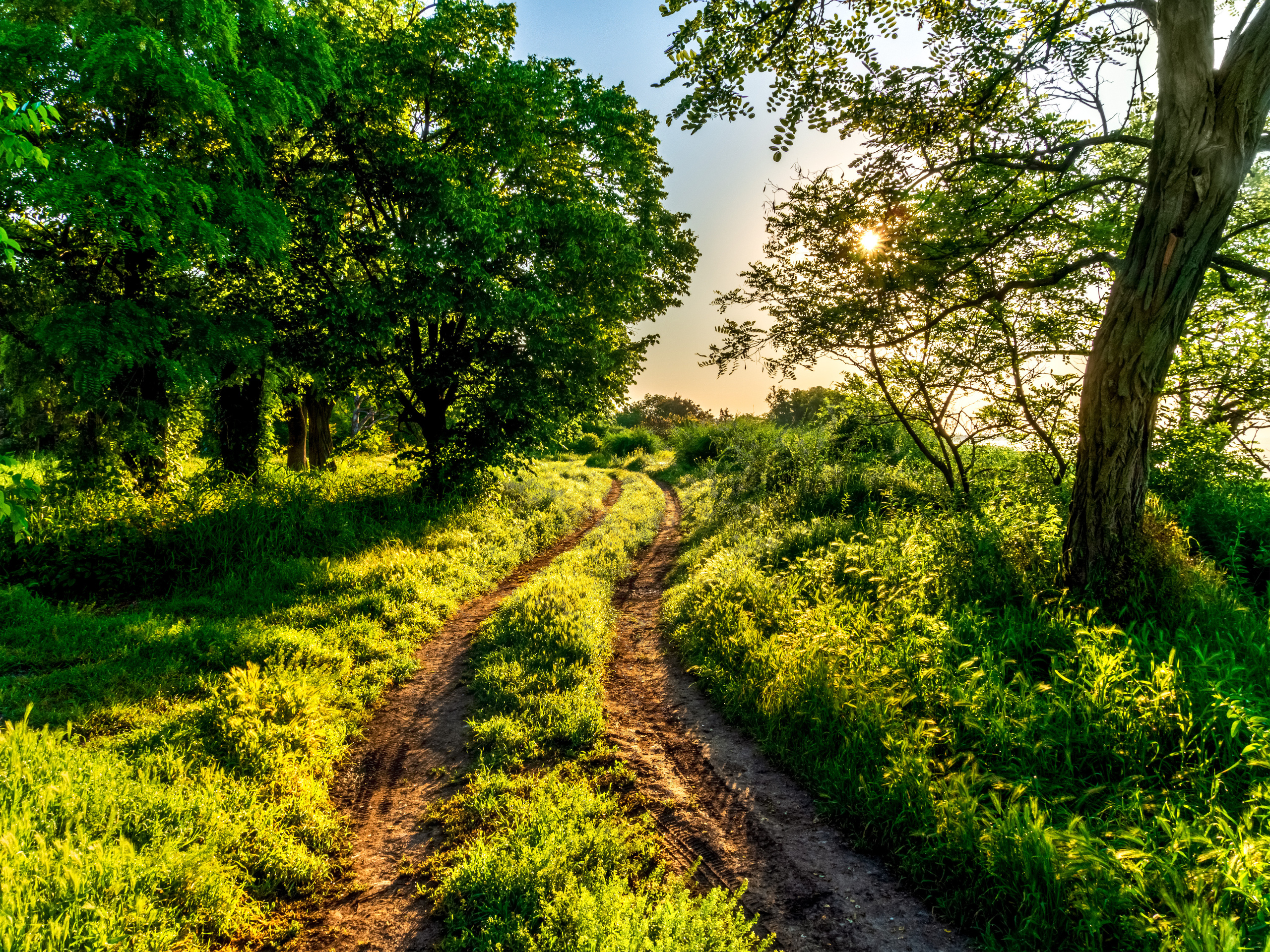Golden Spit dawn. Site of landscape photographer Pavel Krainikov