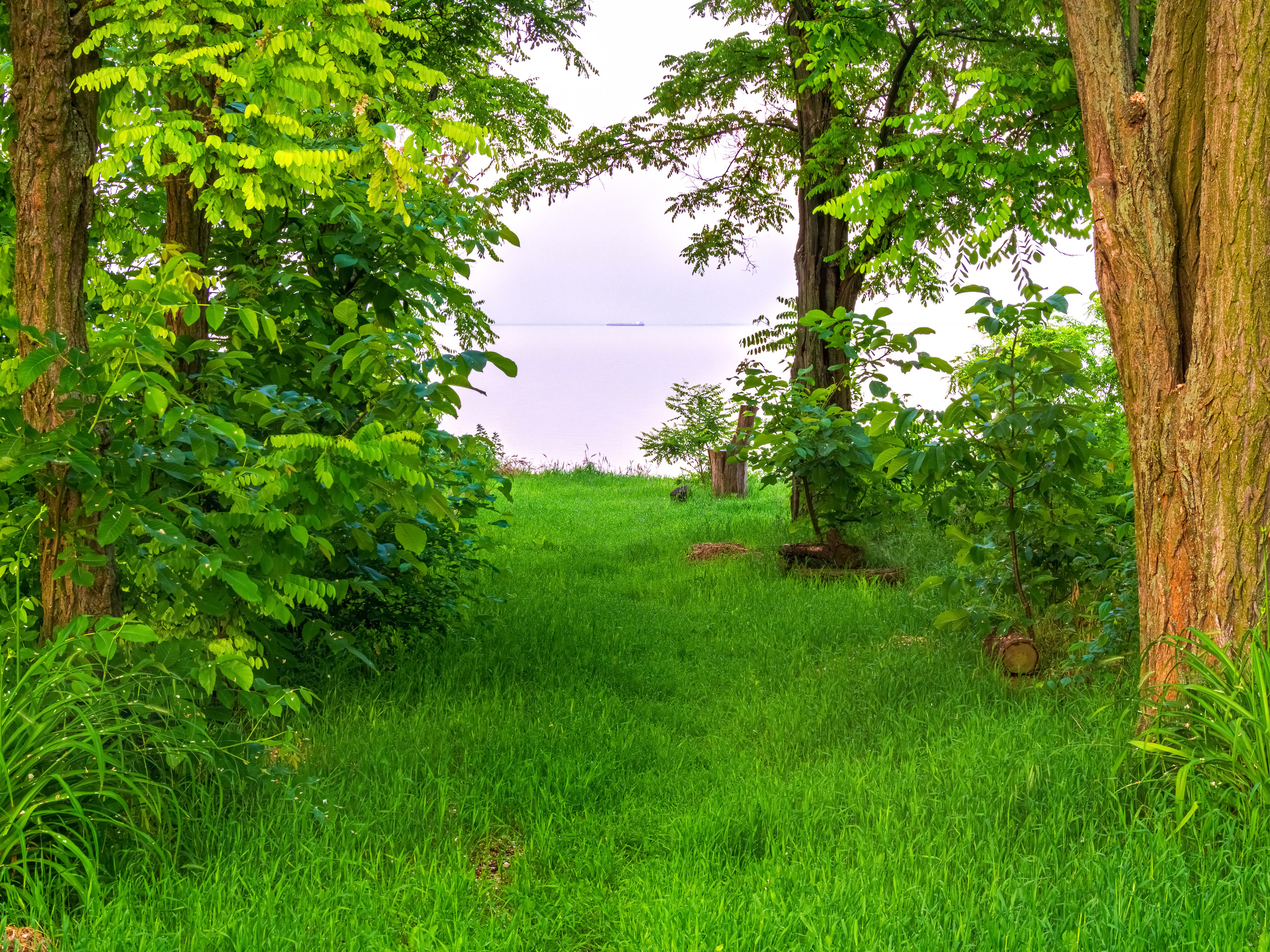 Фото Павла Крайникова