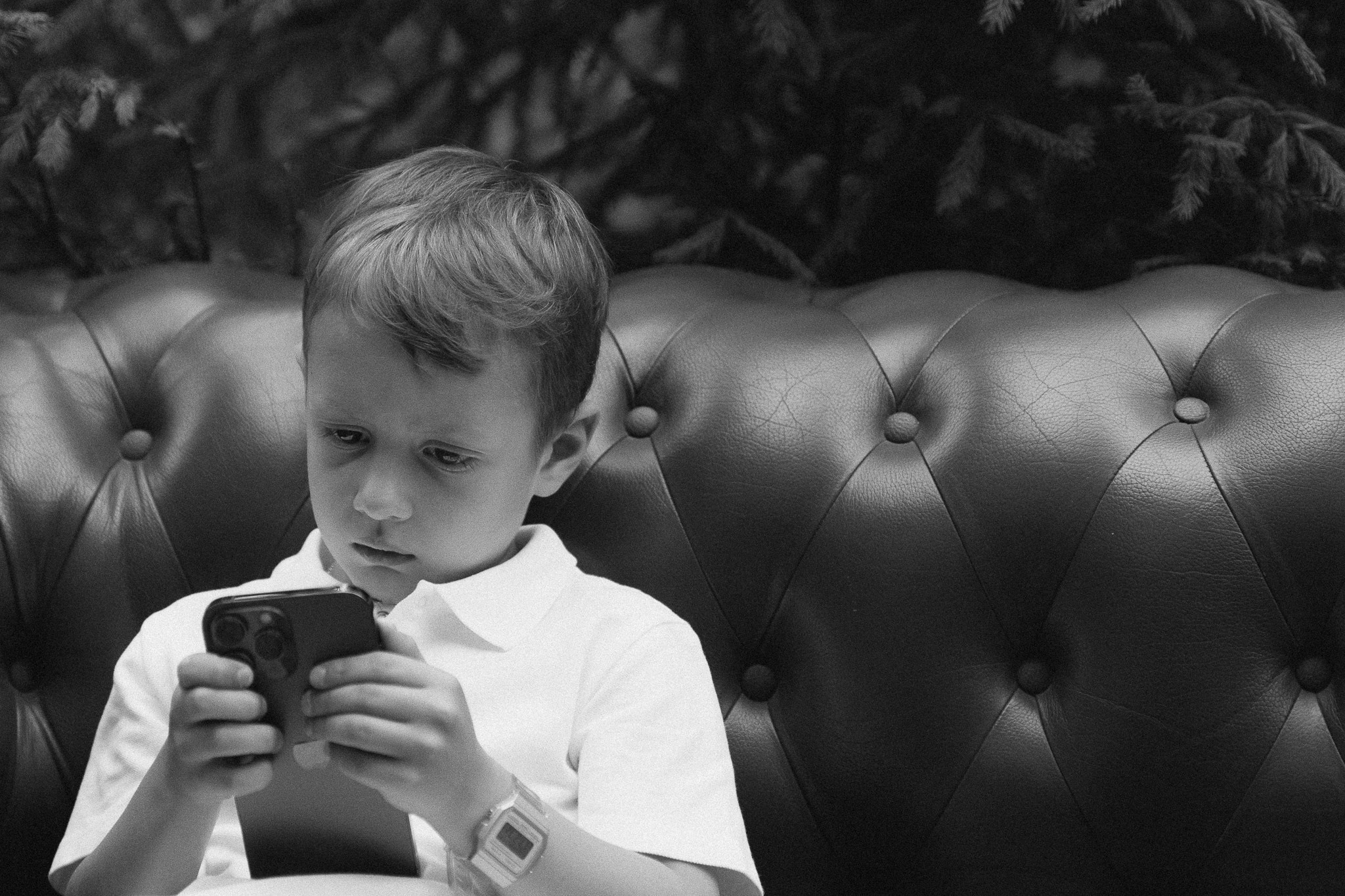 Свадьба Настя и Саша. Герасимов Дмитрий