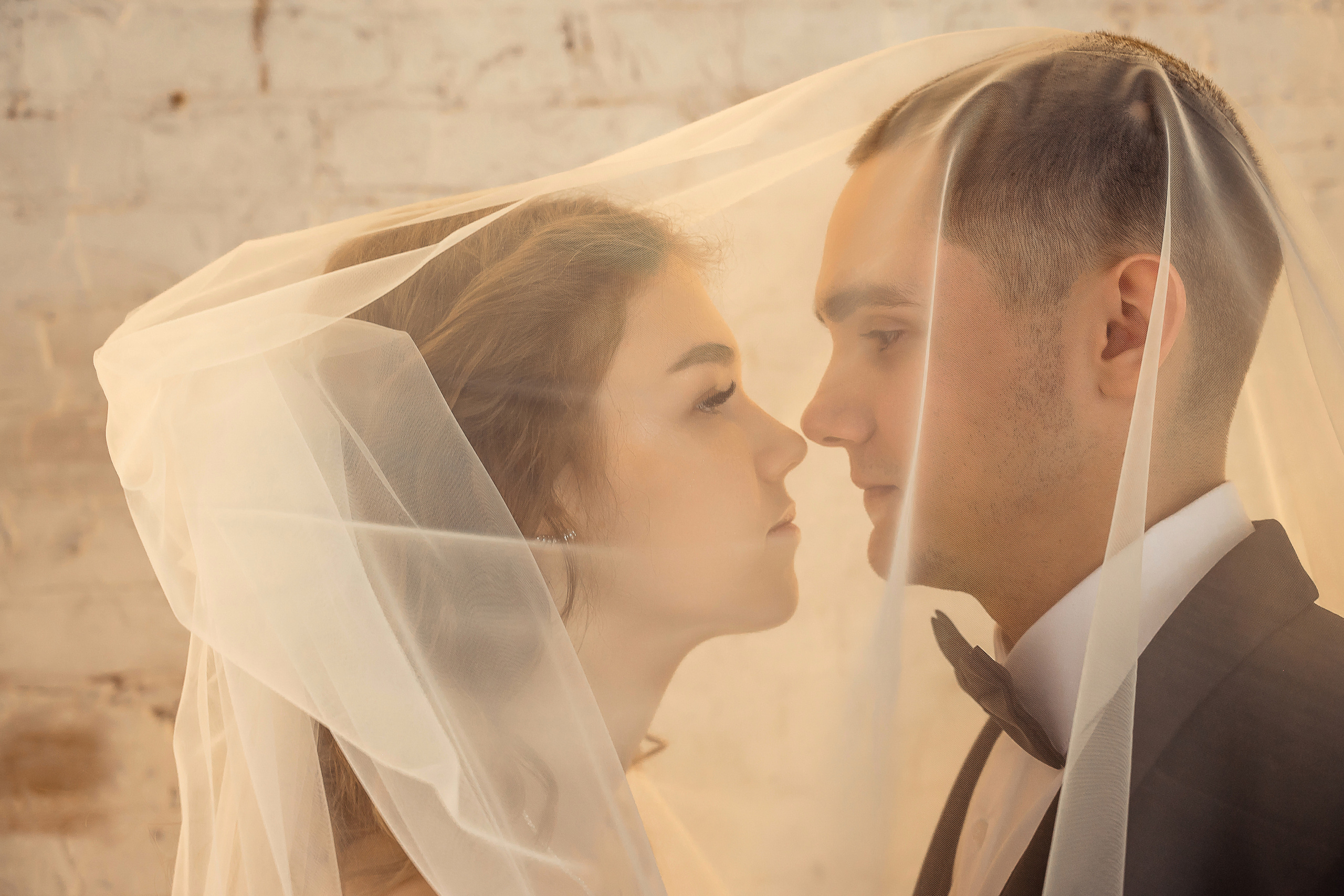 Свадьба Саши и Марины. Свадебный и семейный фотограф в Щёкино, Тула I Мария Житная