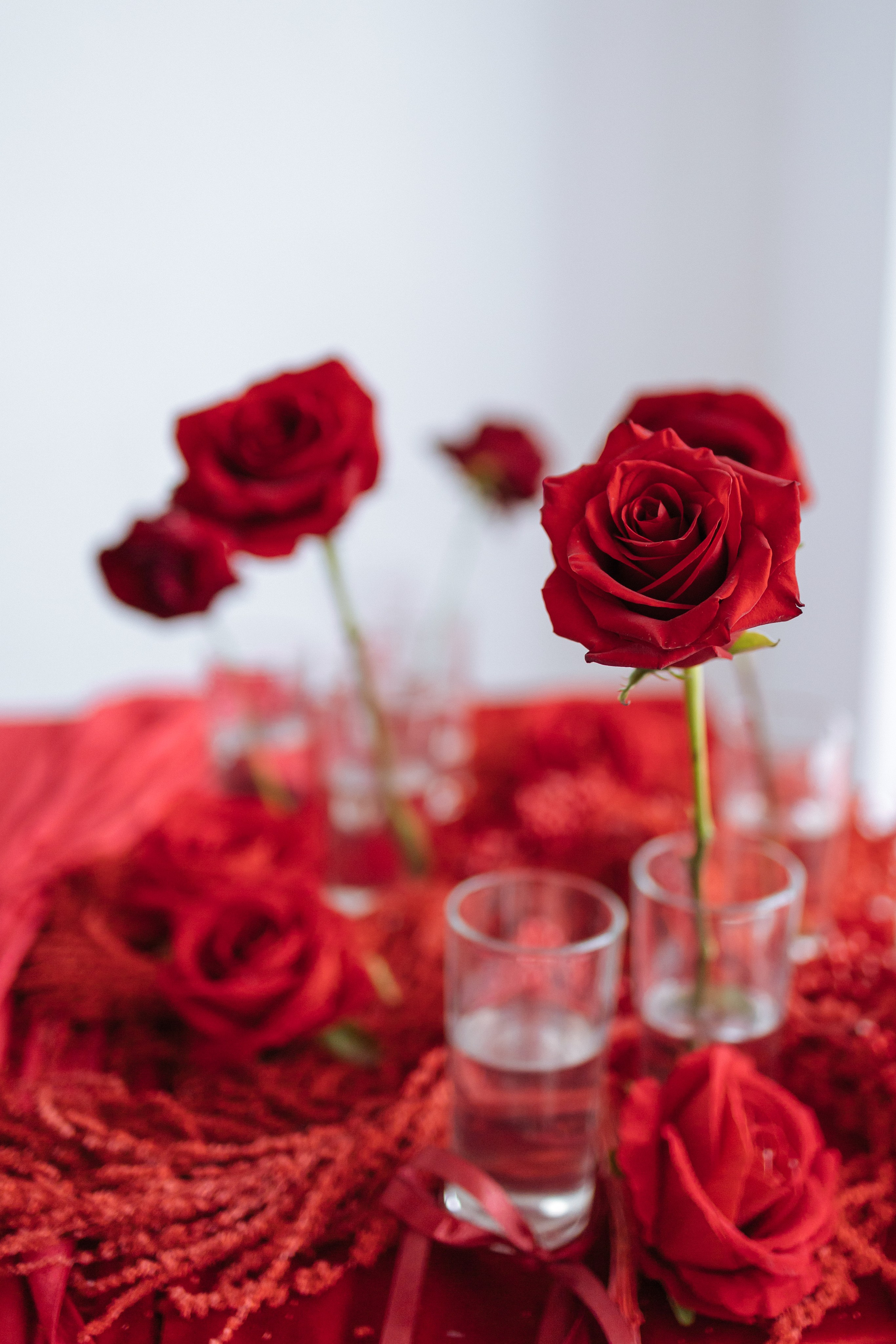 Red heart. Свадебный фотограф в Тольятти Валерия Барышкина