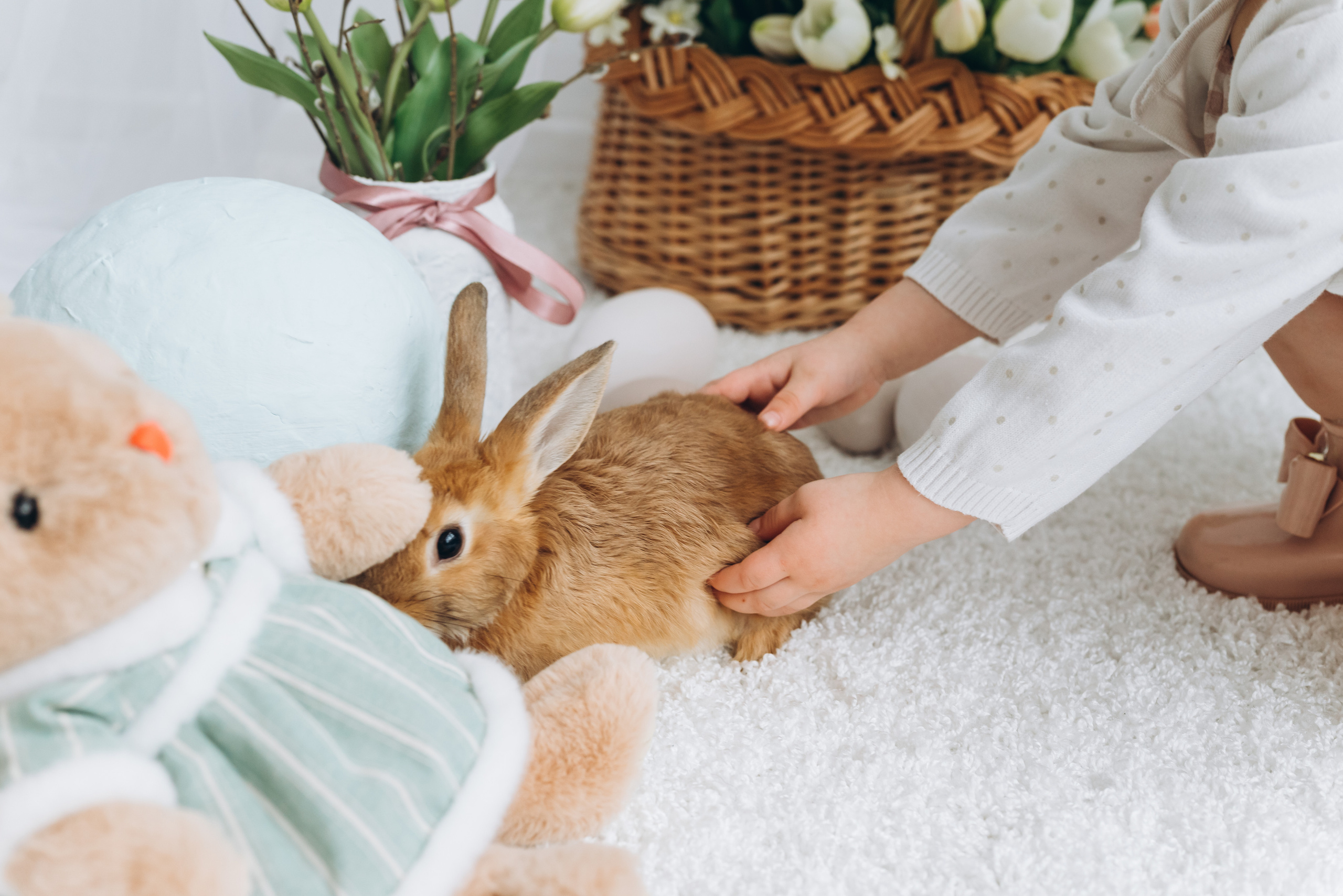 Надя и Ника. Семейный фотограф в Минске Дарья Дреко