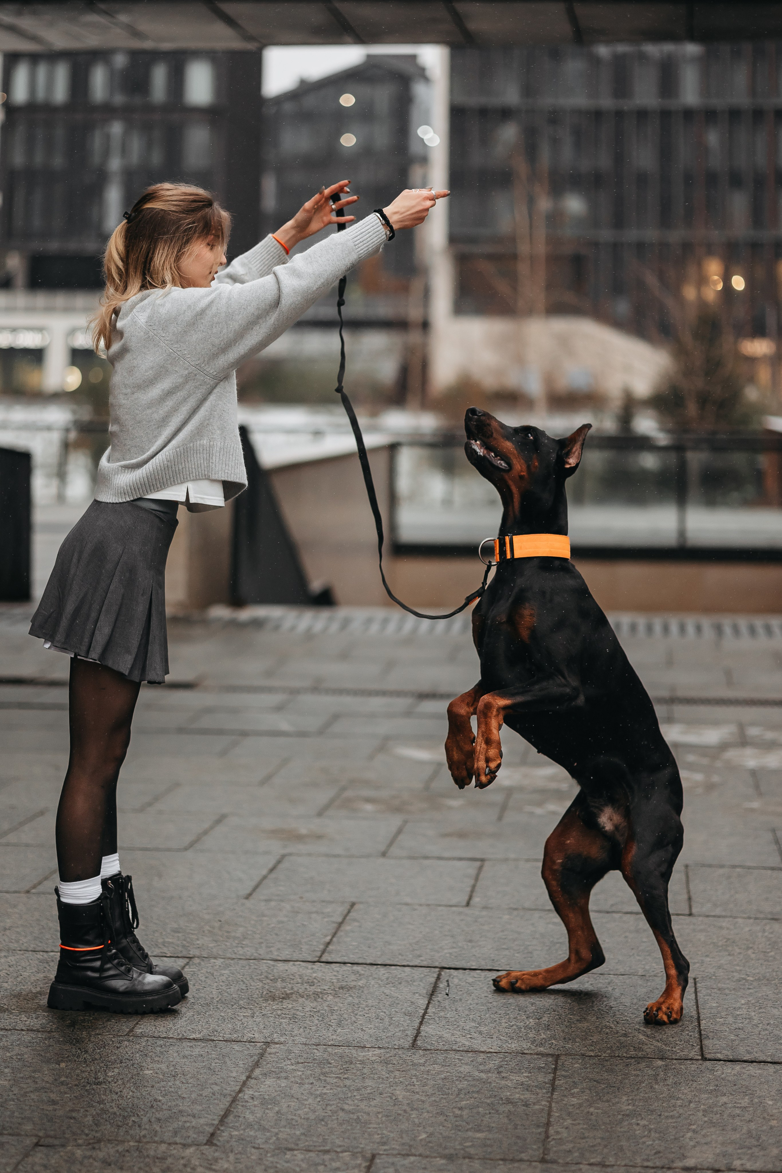 Дари и Гранд. Фотограф-анималист в Санкт-Петербурге Алина Яхонт