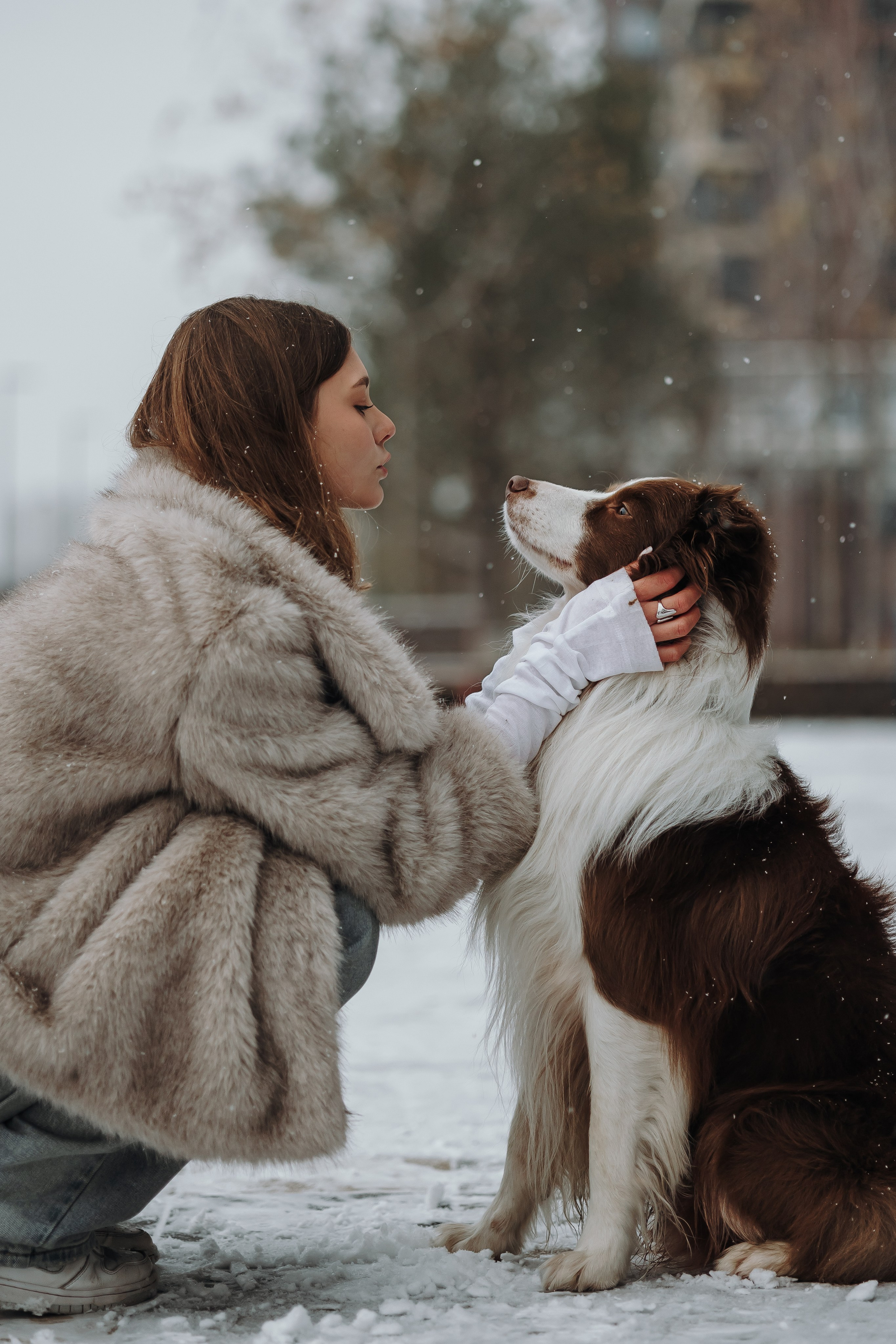 Маша и Брауни. Фотограф-анималист в Санкт-Петербурге Алина Яхонт