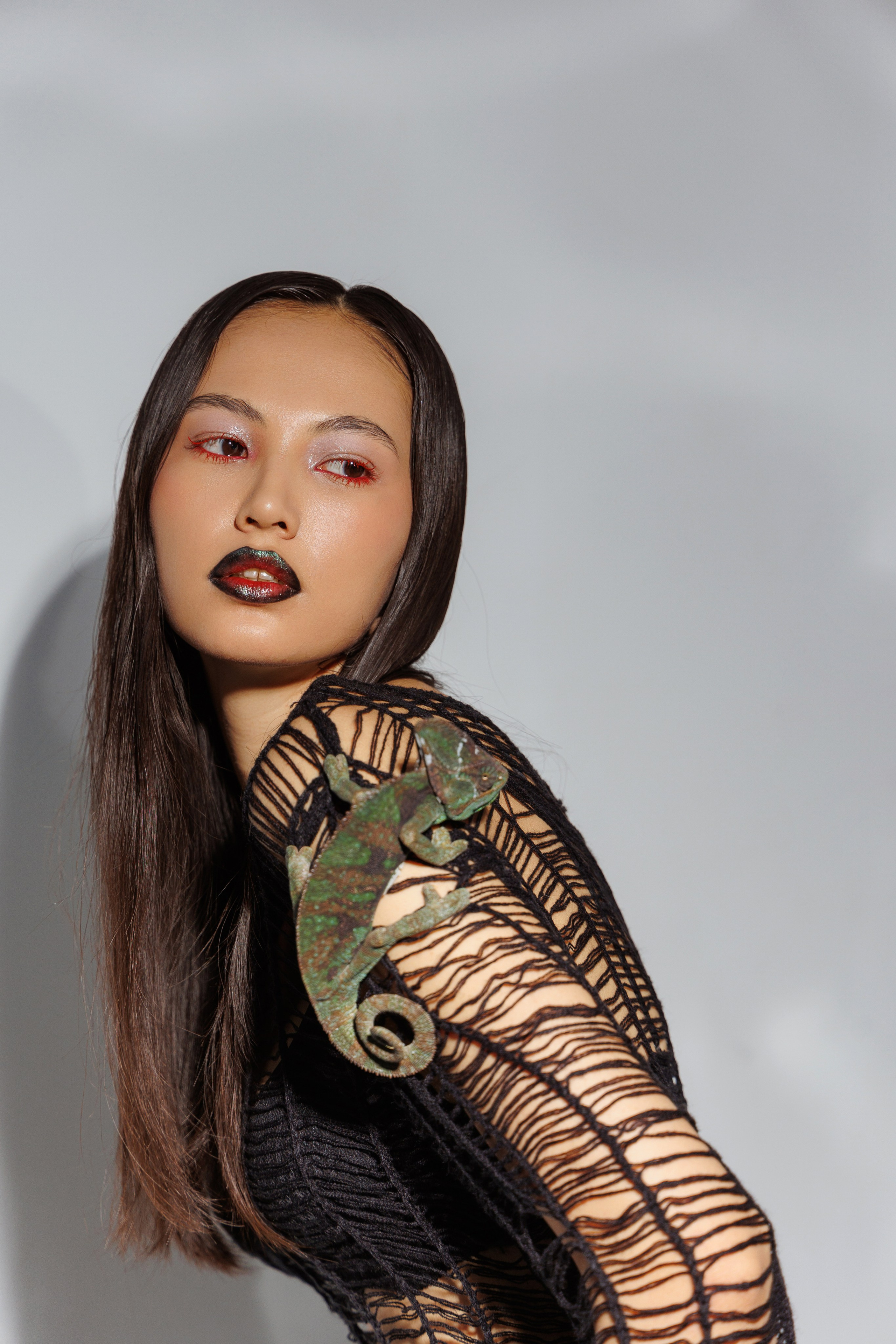 Хамелеон. Марковкина КрисТина