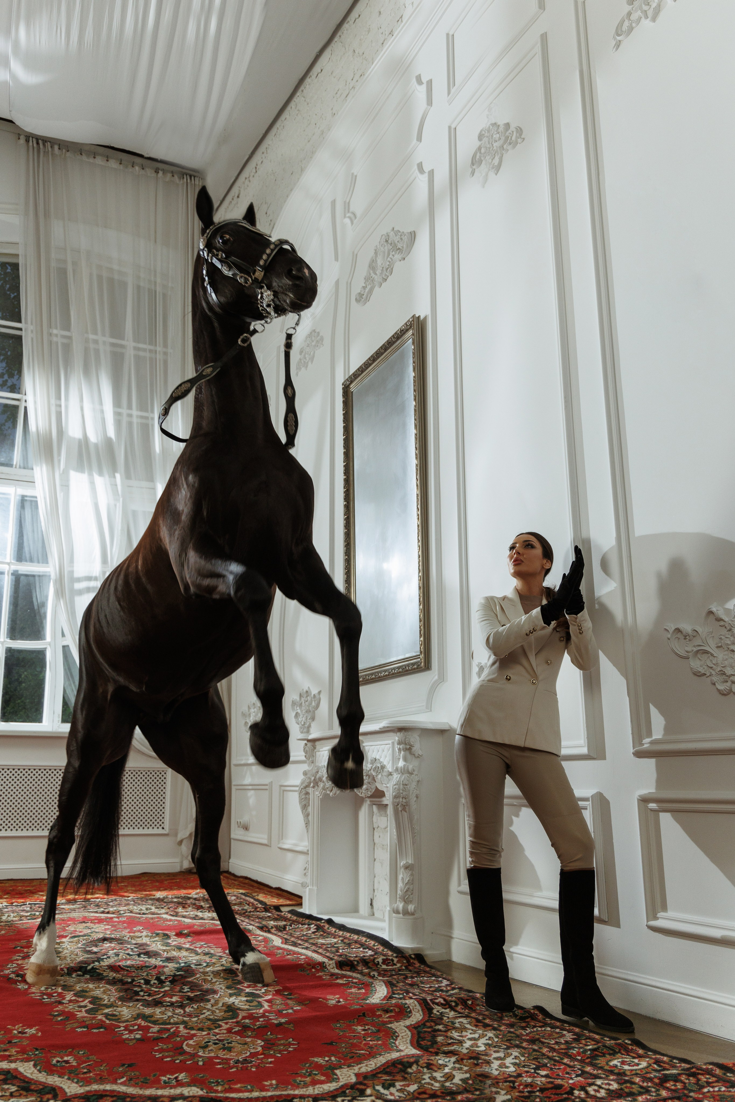 Лошадь в особняке. Марковкина КрисТина