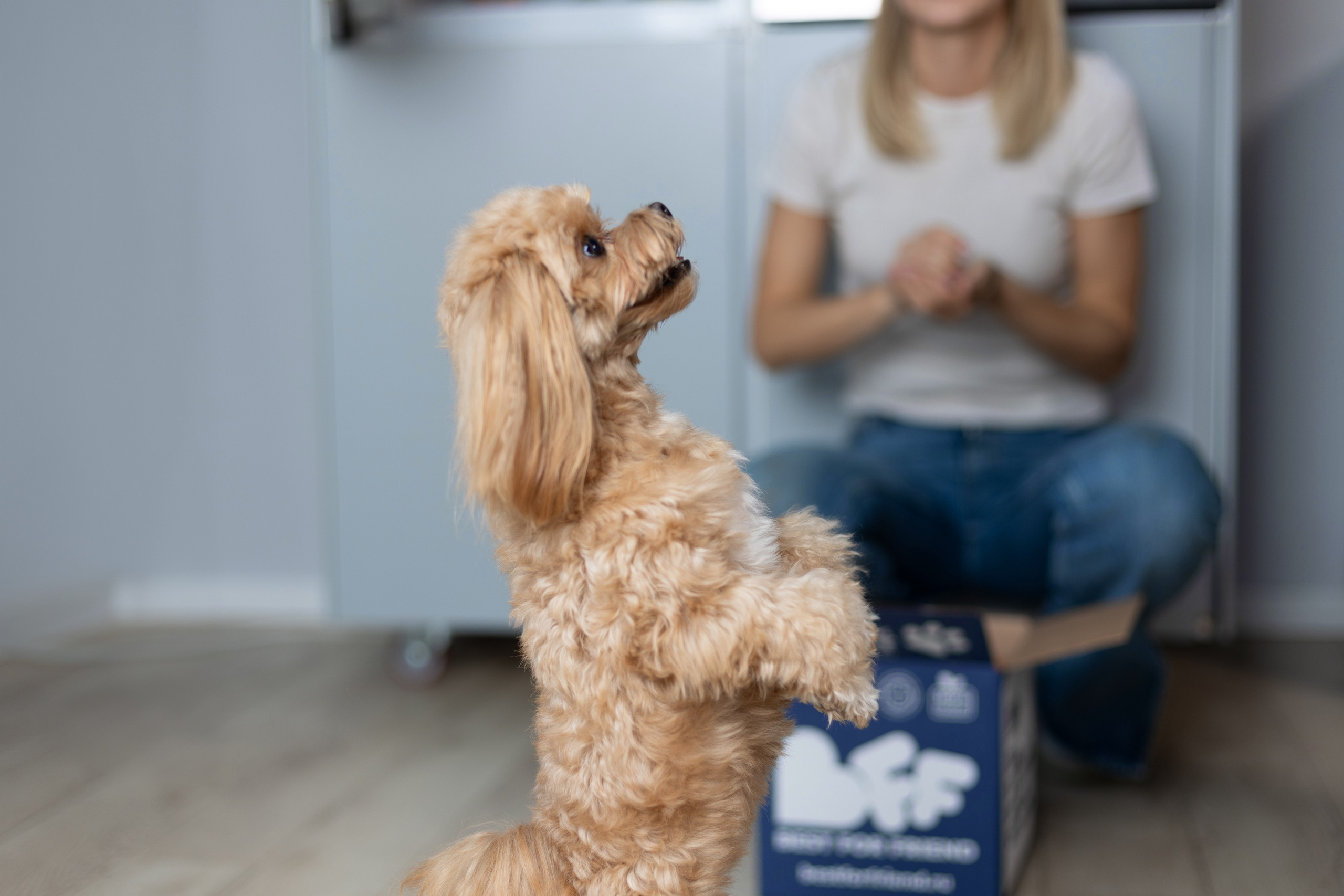 Best for friend (BFF). Фотограф анималист Кристина Карпова, Москва