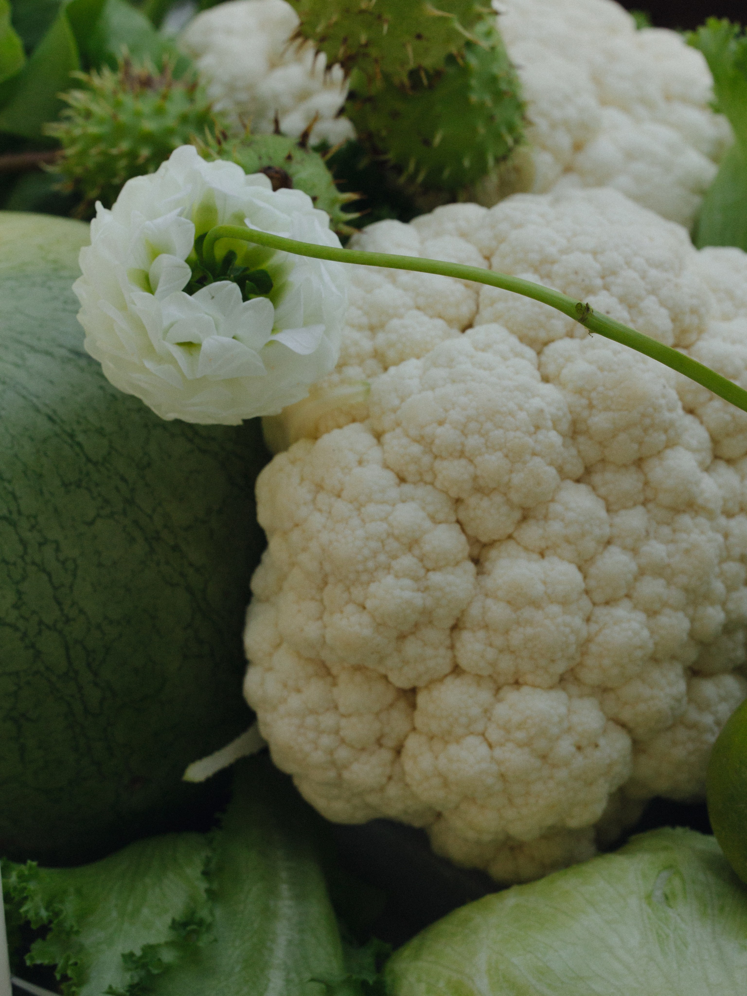 Анонс Wedding day Иван & Сабина. Свадебный фотограф Колесников Антон
