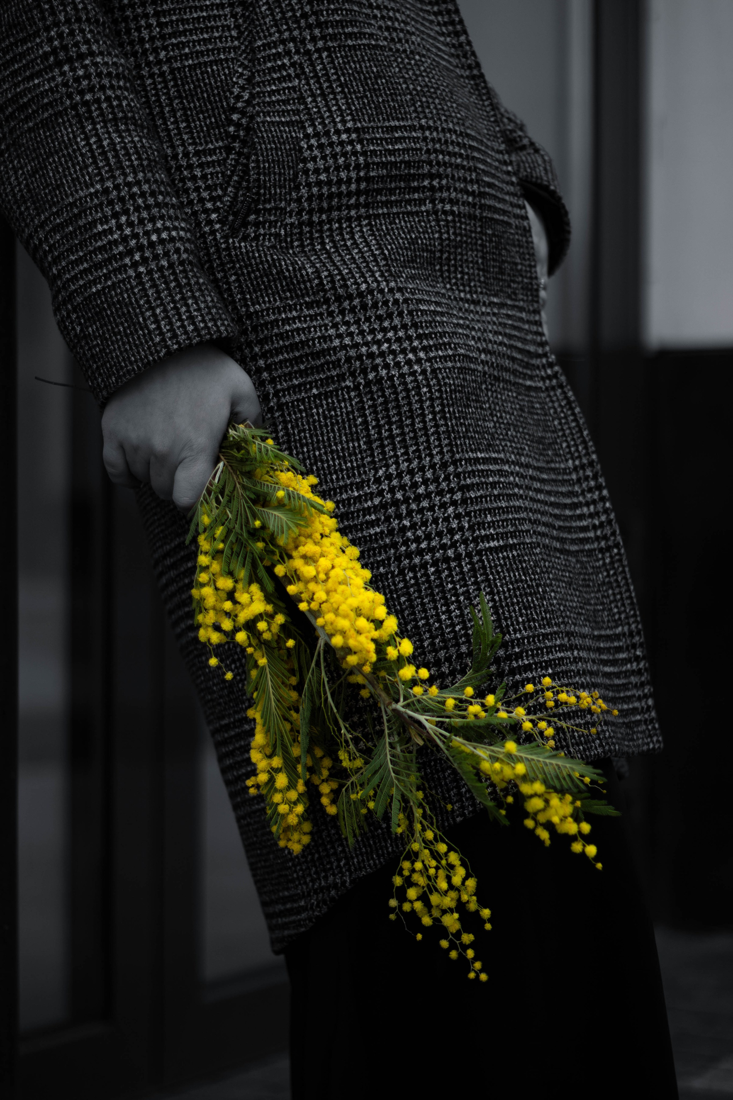 Прогулка с Аней. Портретный фотограф Москва Юлия Трякина