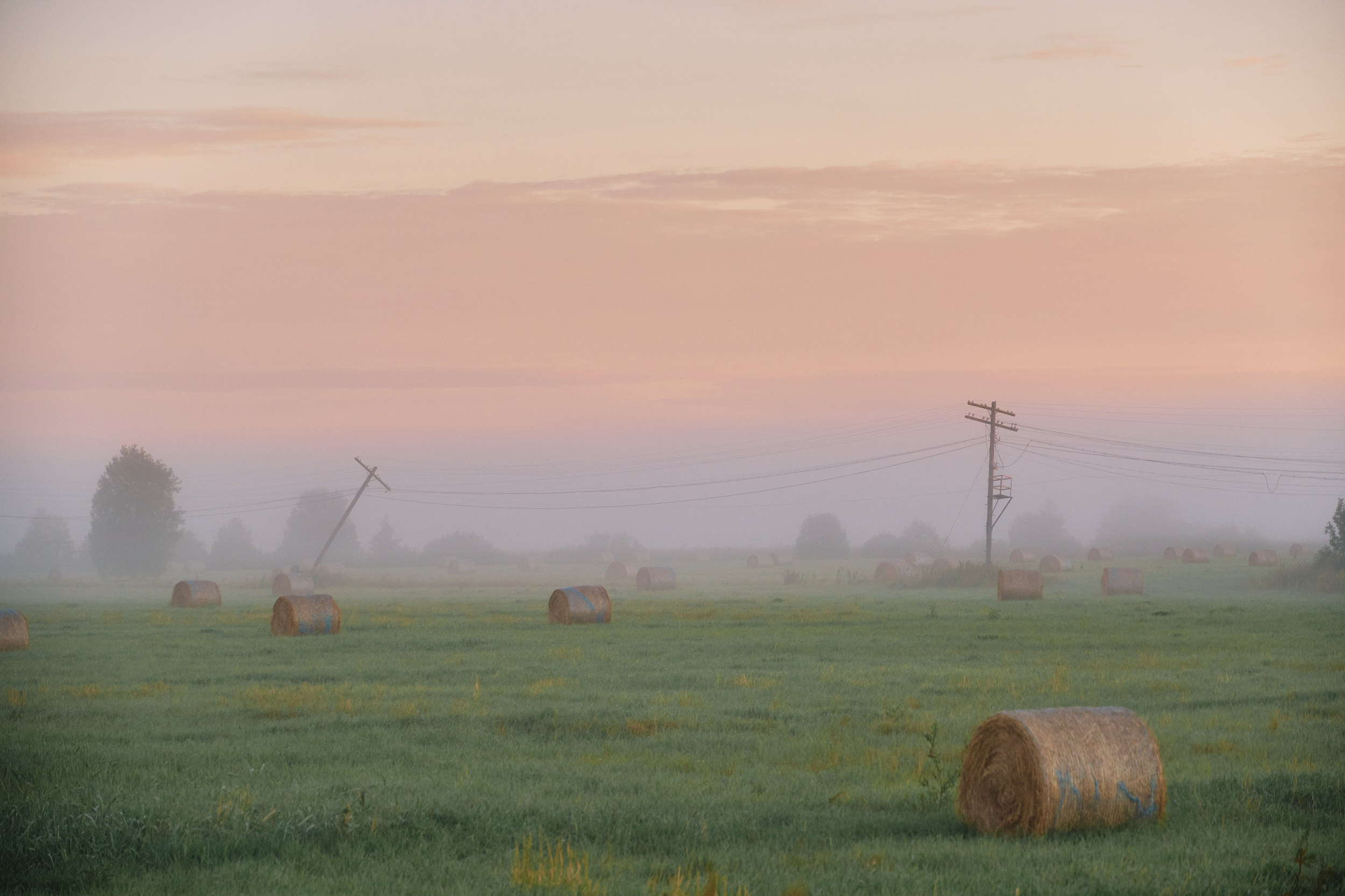 Северные дневники. Алиса Северная. Визуальные исследования. Пейзажная и документальная фотография