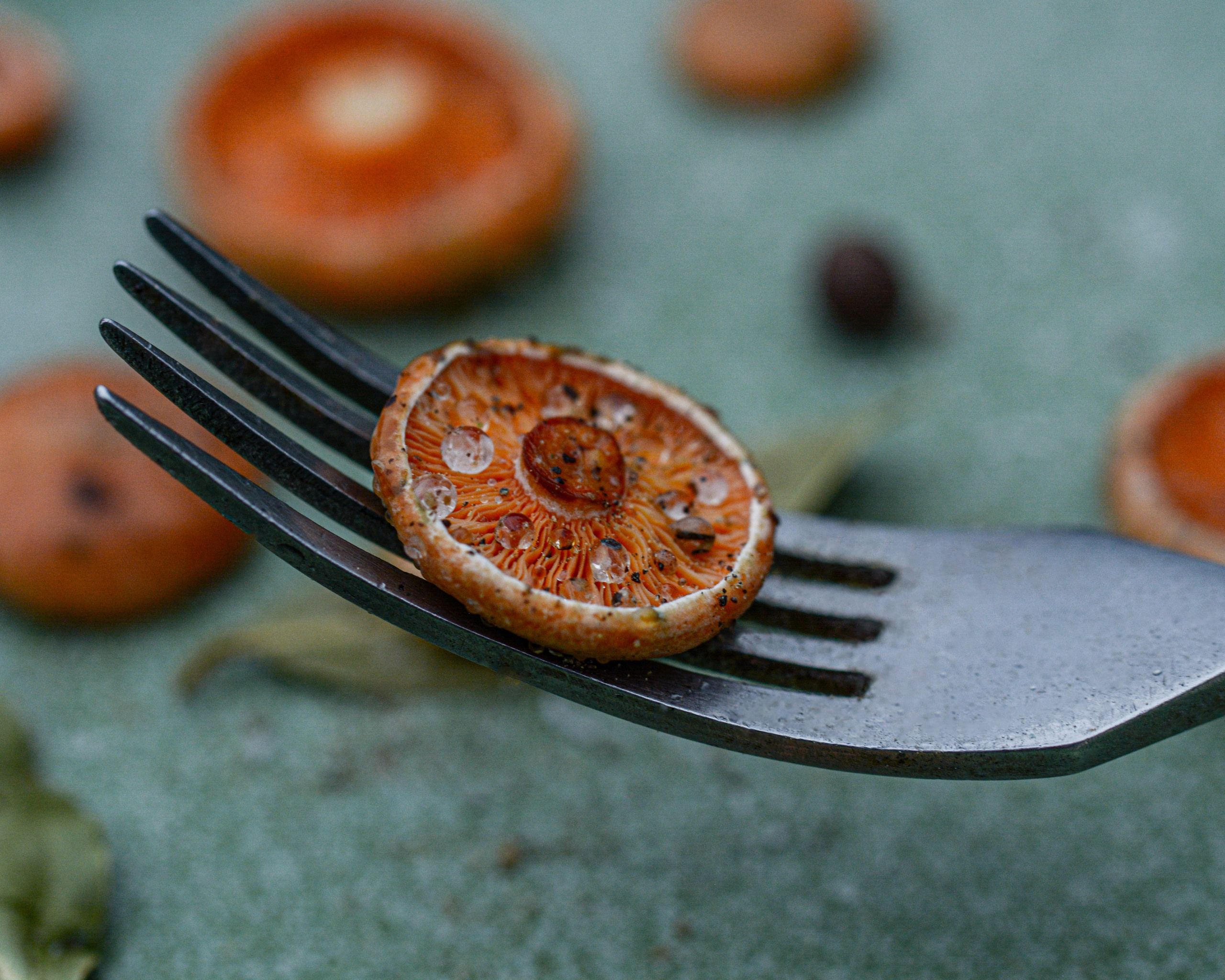 Еда. ПРУДМЕТНАЯ И ФУД СЪЕМКА