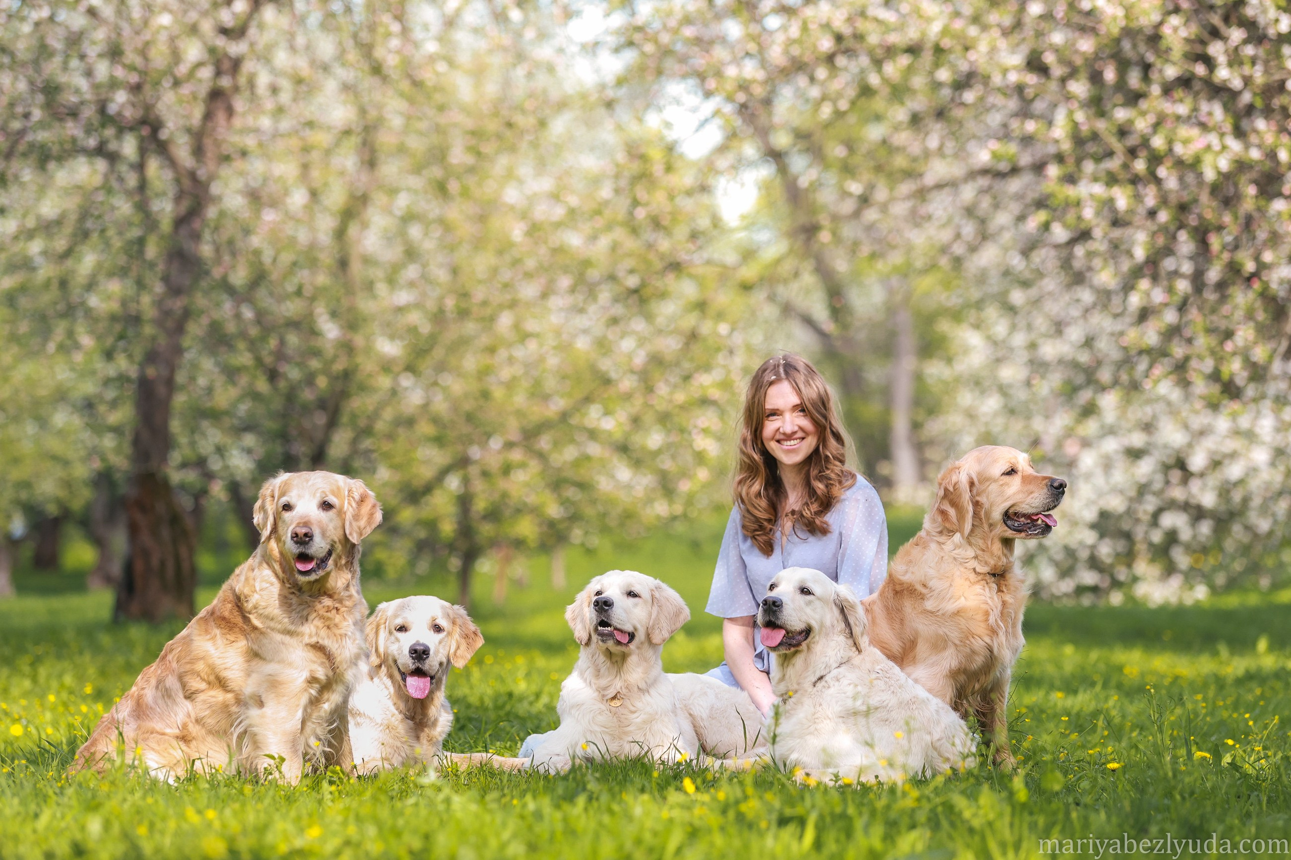 Собаки и их люди❤️. Семейный и детский фотограф в Москве Мария Быкова