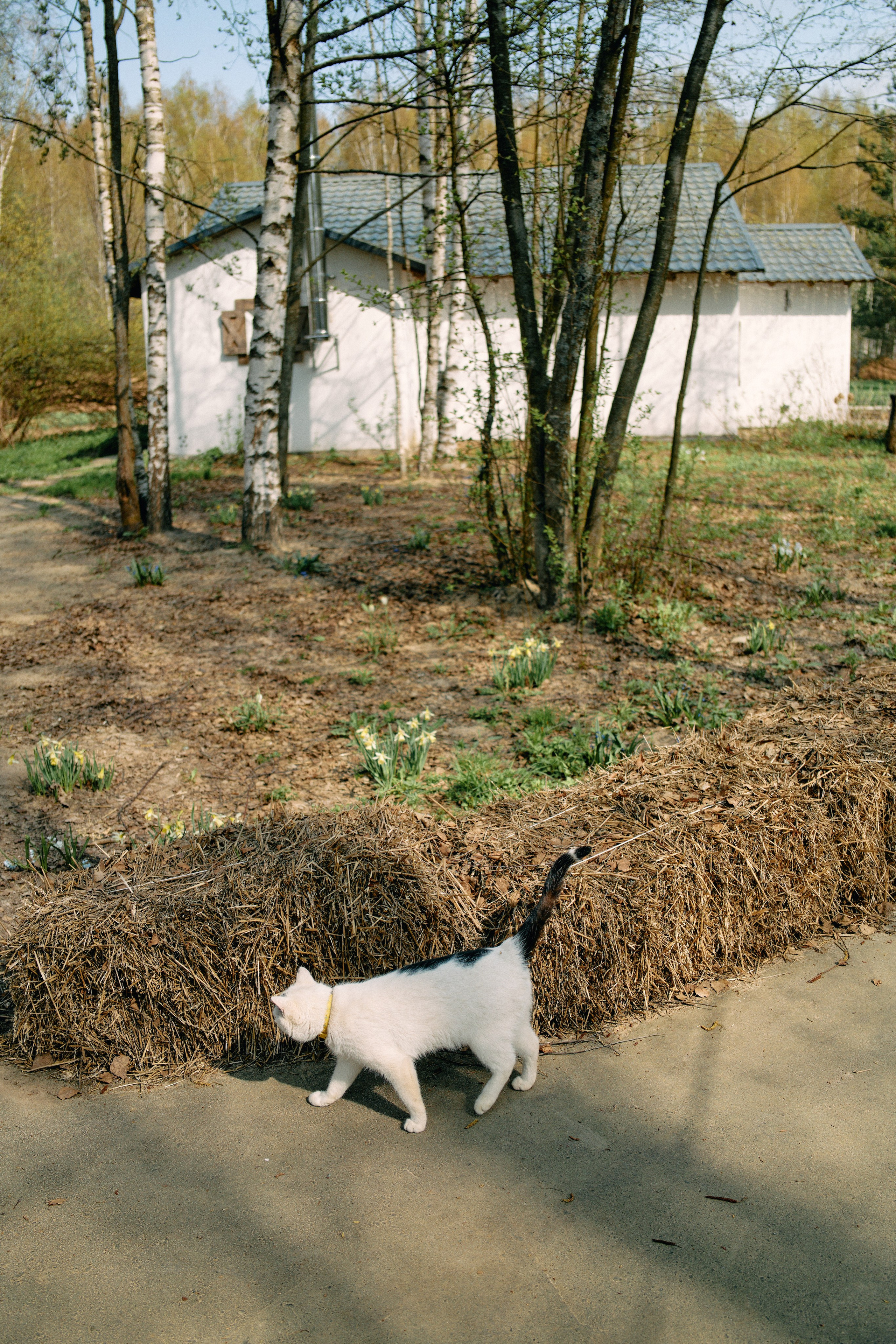Бутик-отель Поле летом. Профессиональный Фотограф во Владимире, в Москве и в Суздале — Полина Романычева