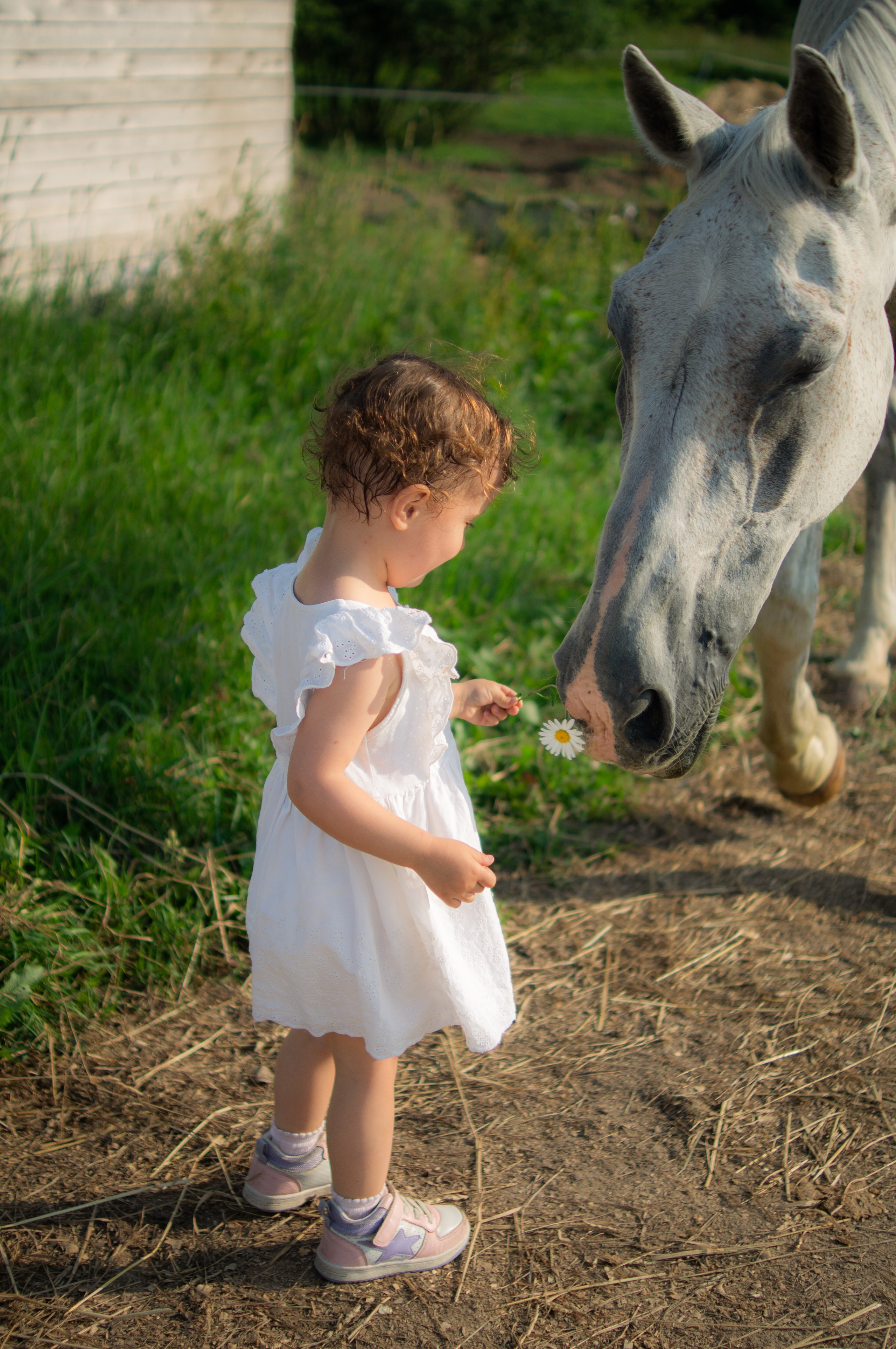 Григорий и Есения. Портретный фотограф Елена Ковалевская