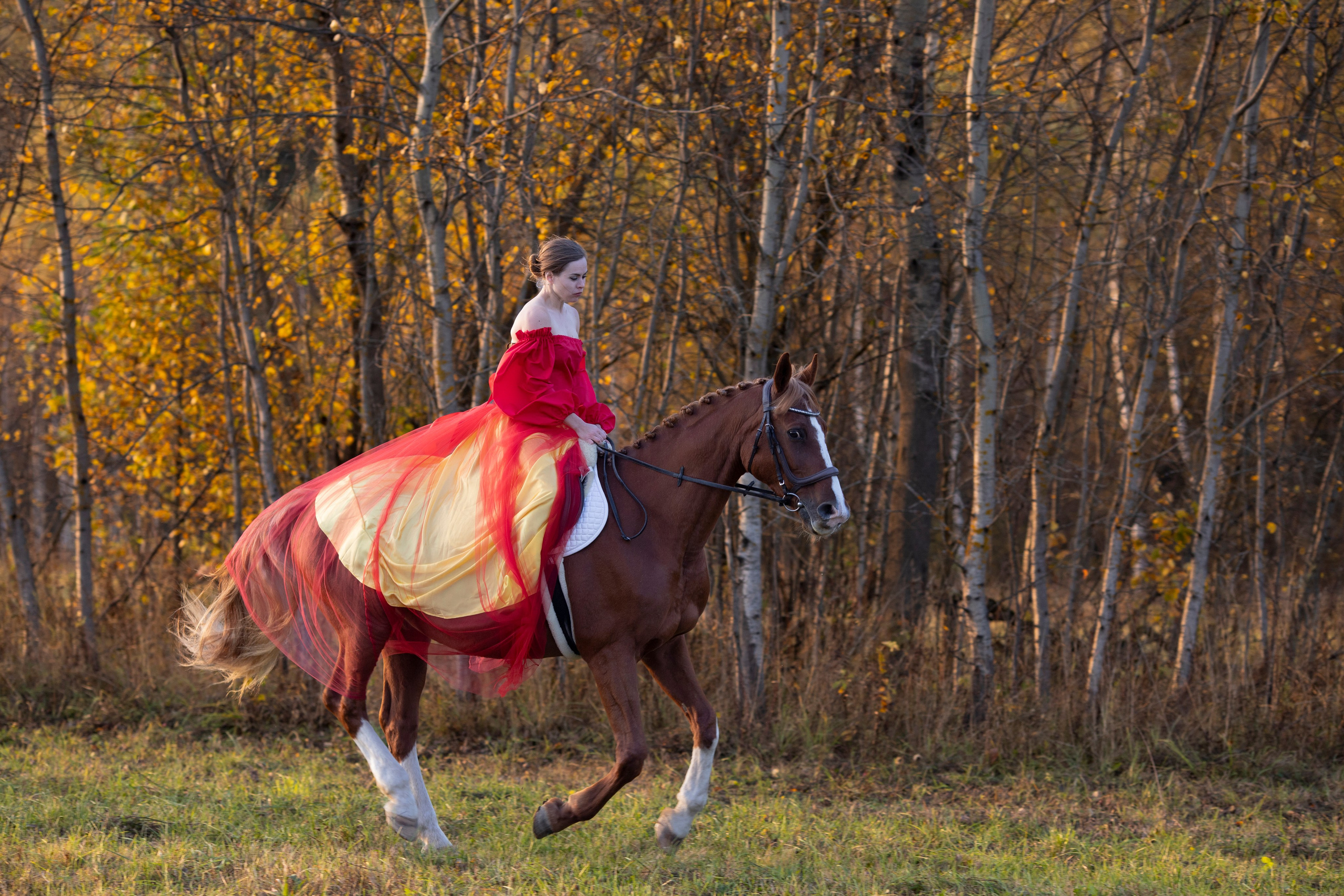 С лошадьми. Фотограф в Москве и в Московской области Сандра
