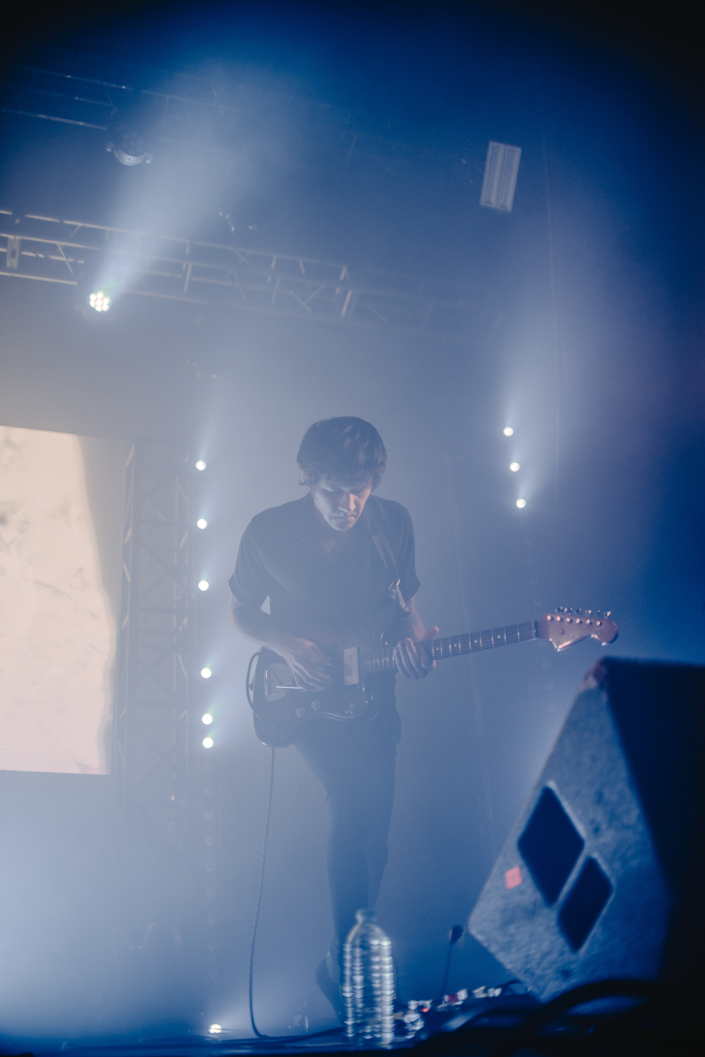 Дельфин | Gaudi. Контент фотограф Илья Урс