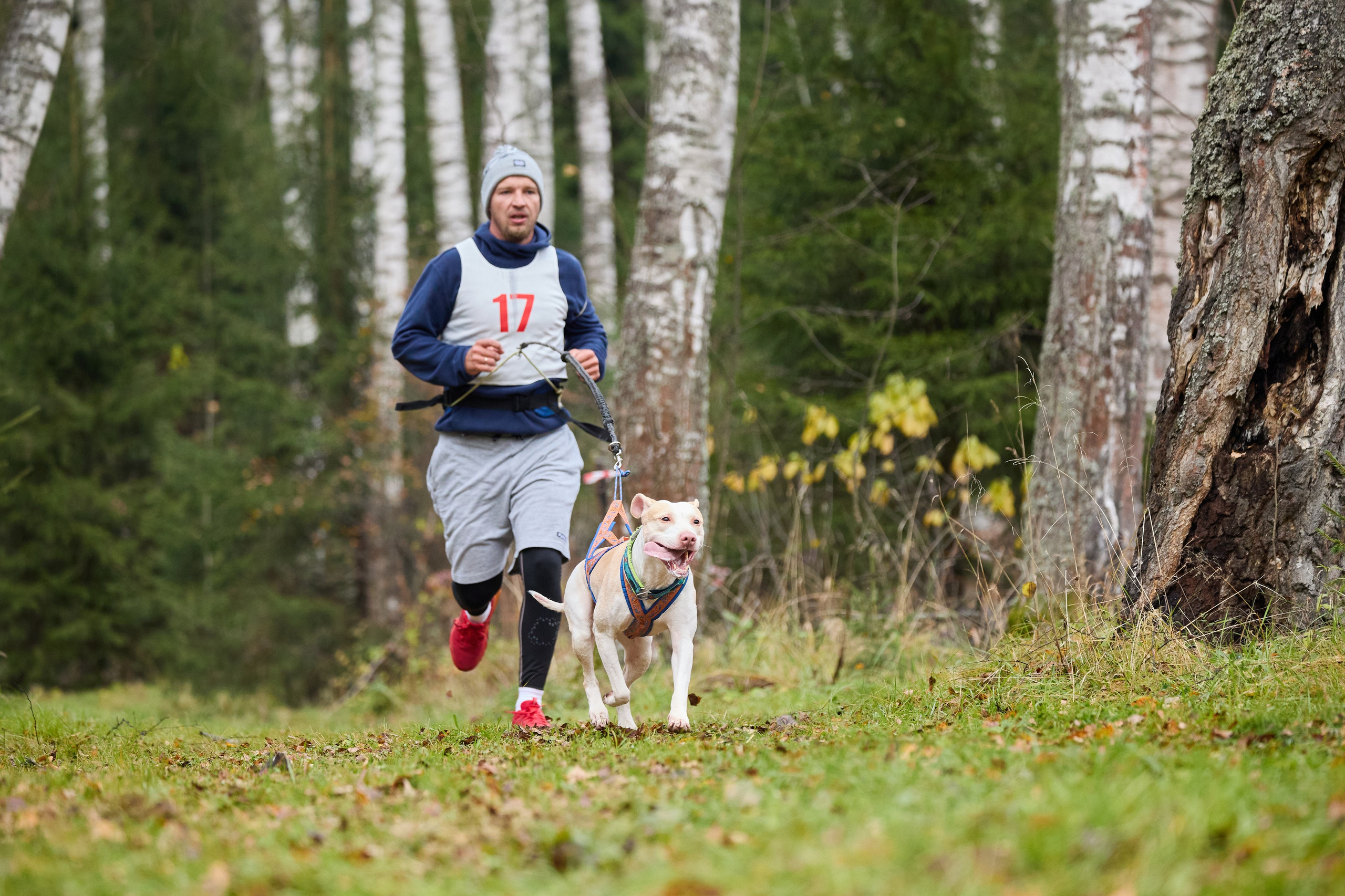 Чемпионат по ЕС Ярославской области. Фотограф Ирина Астор