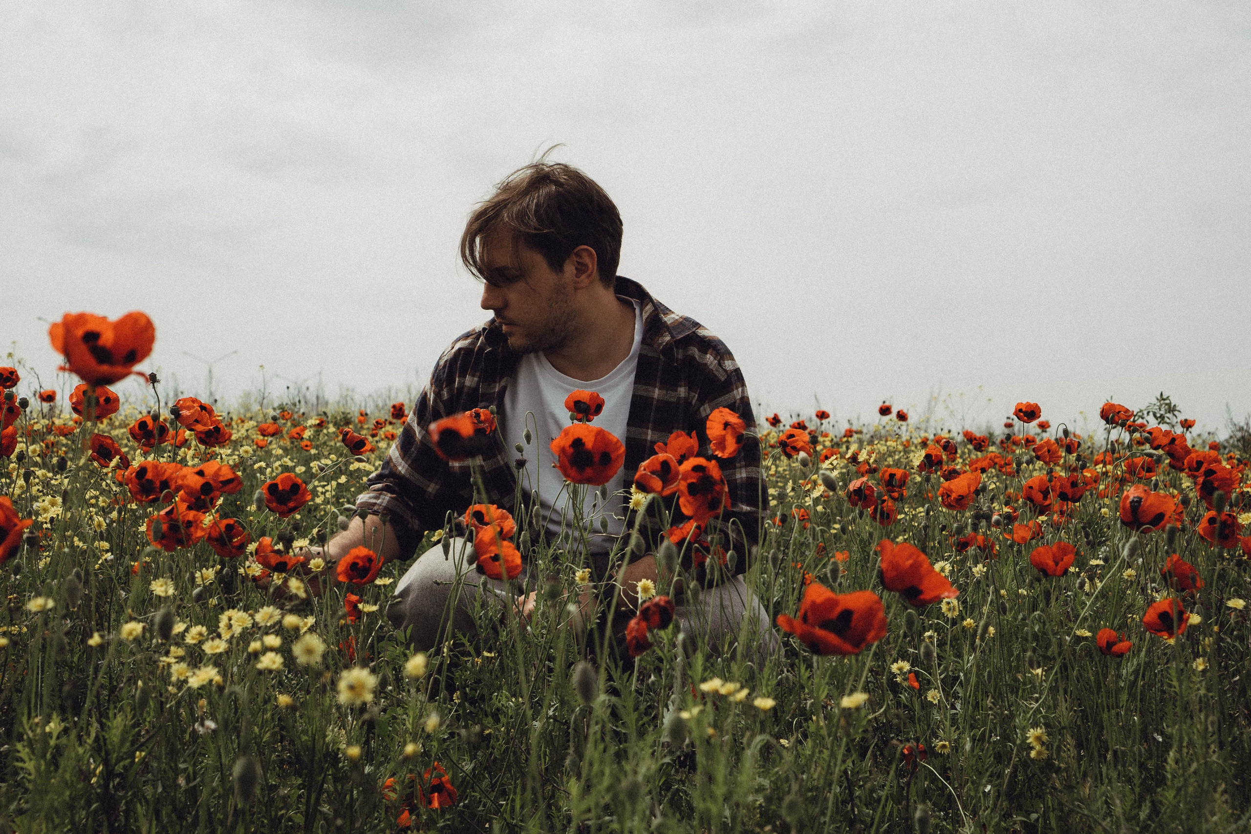 Маки. Профессиональный фотограф, Санкт-Петербург — Виктория Богомолова