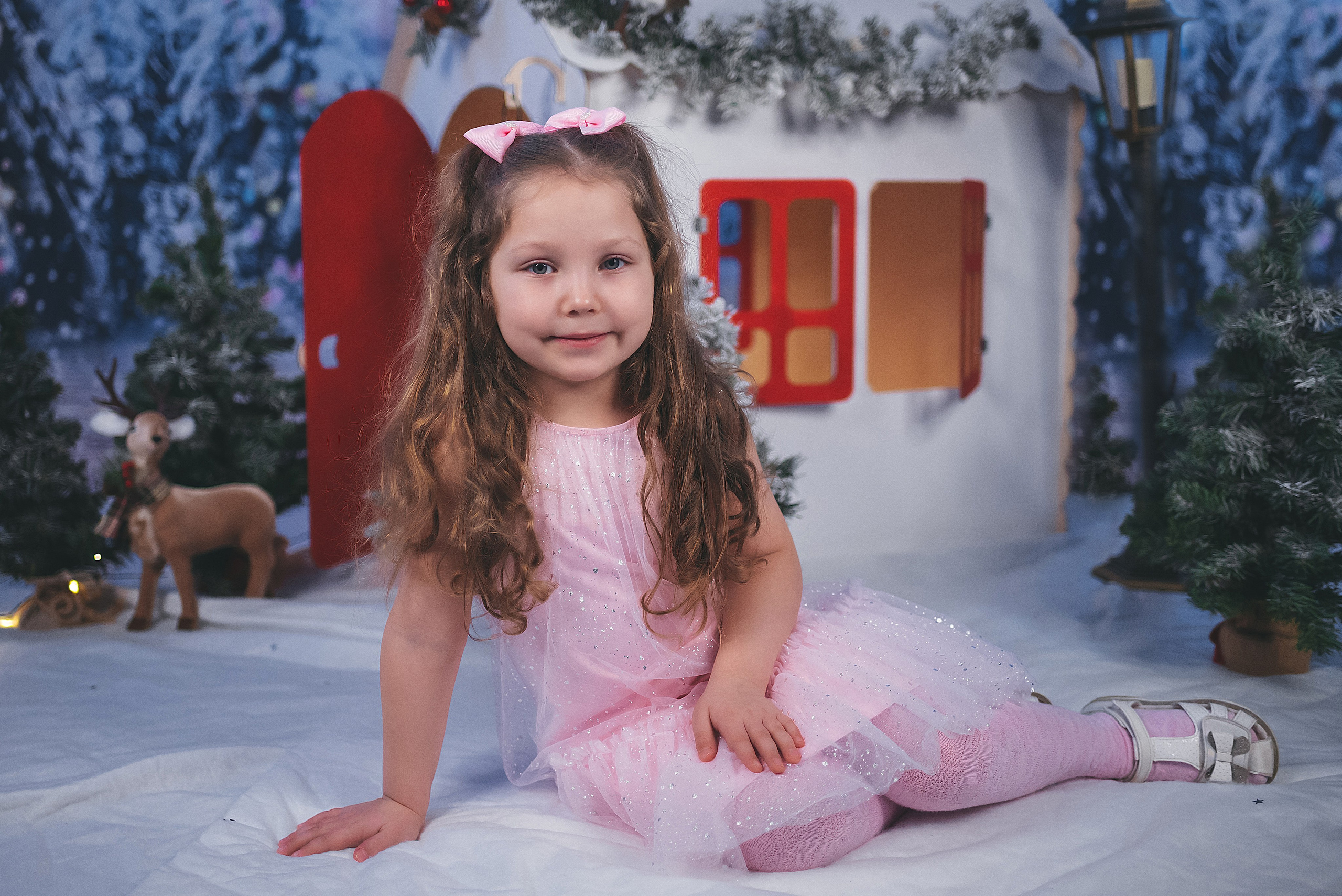 Проект «Новогодний домик». Семейный и детский фотограф в Тейково