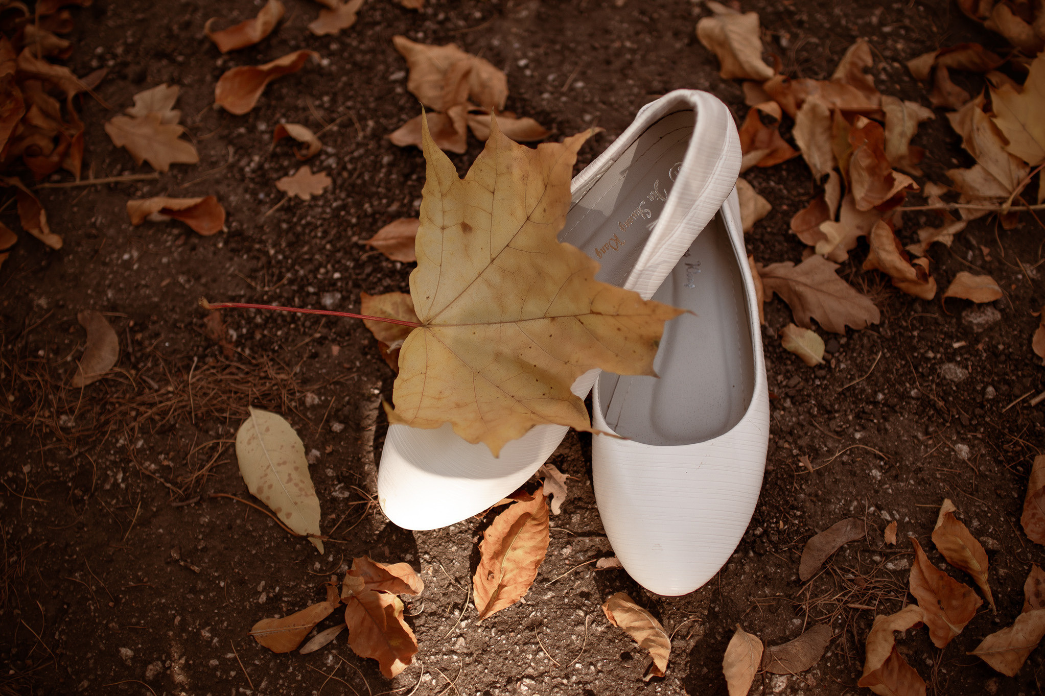 Свадебная фотосессия в парке. Юлия Басня семейный и свадебный фотограф в Донецке