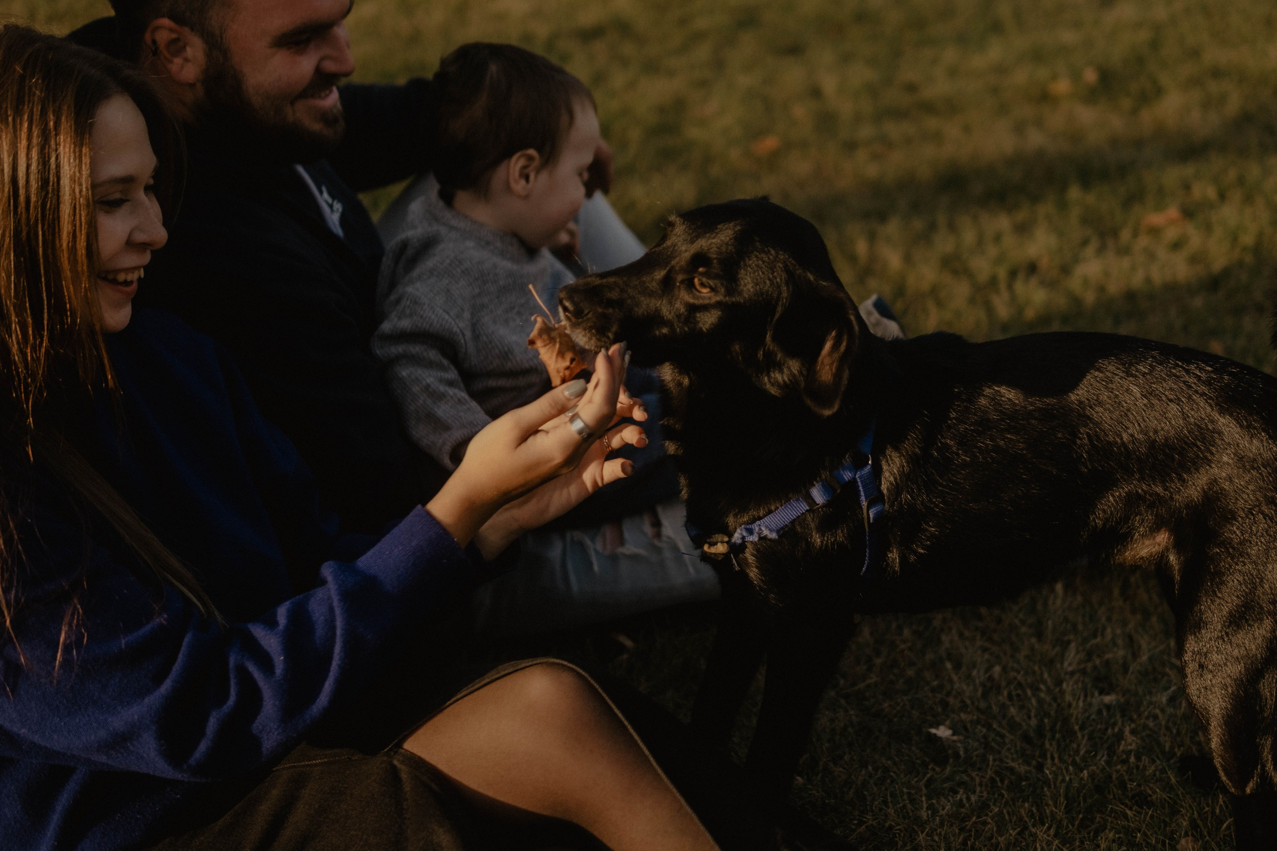 Ксюня, Ваня, Марк и 🐶. Свадебный фотограф Оля Григунова