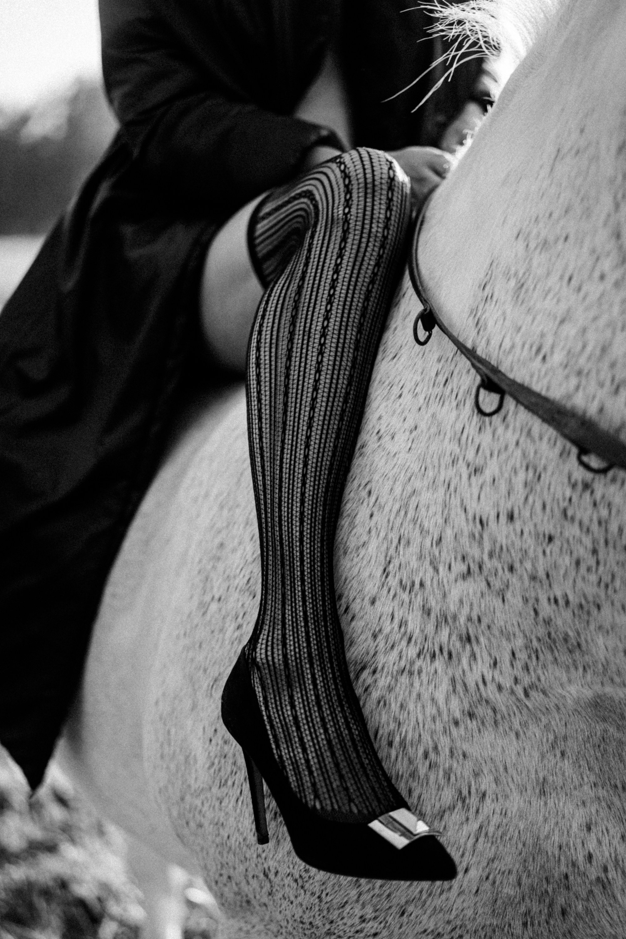 Красивое фото в чулках