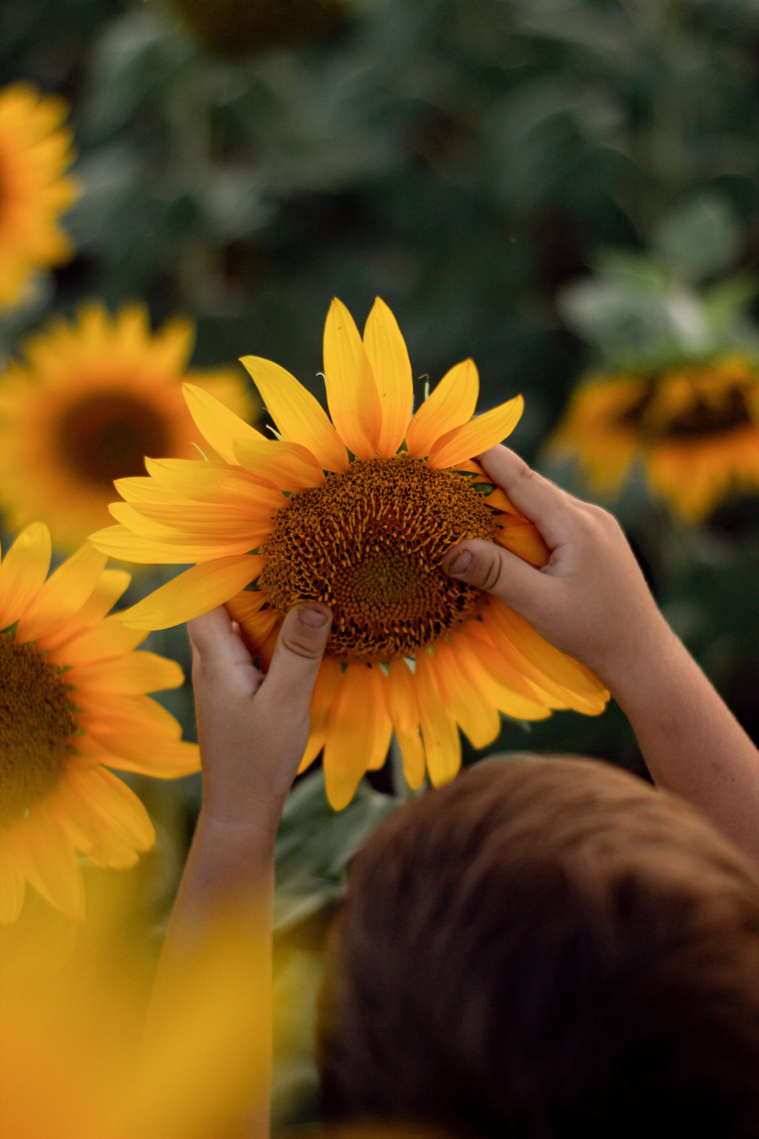 Детская съемка. Наталья Сологуб|Фотограф|Ростов-на-Дону