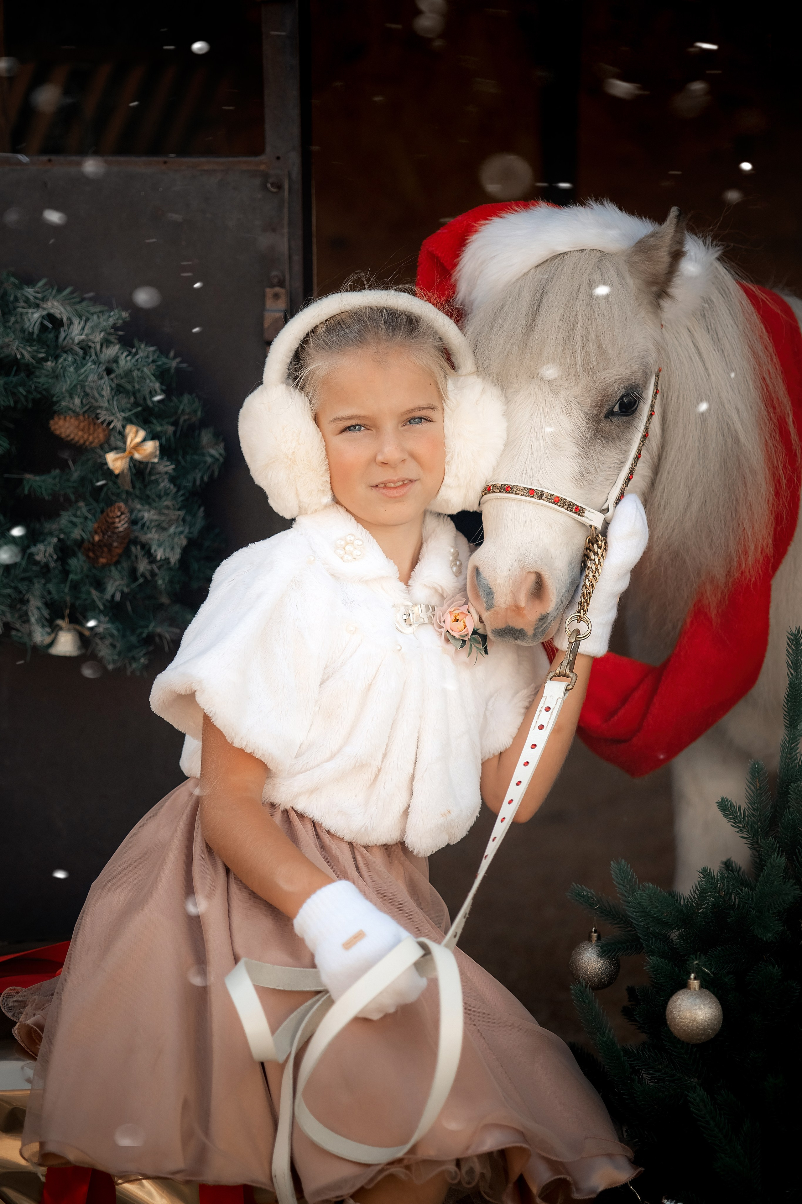 Новогодняя сказка. Художественный фотограф Анапа Александра Долбикова