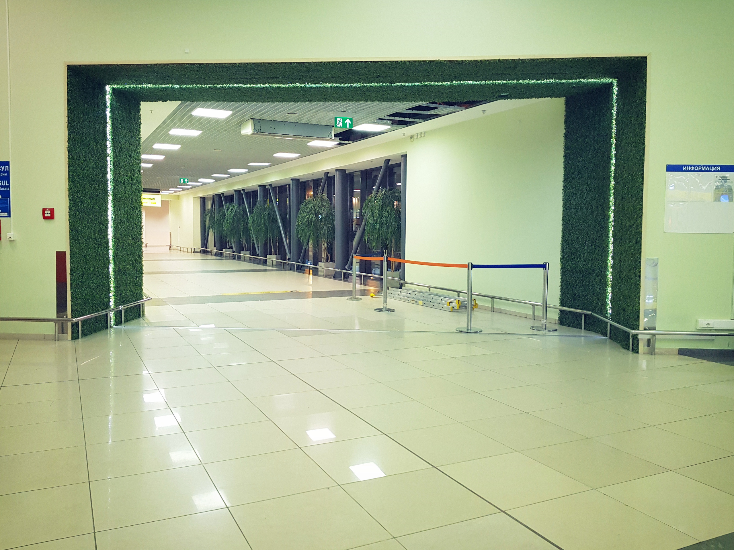 Озеленение Шереметьево. Кризисный и телесно-ориентированный психолог в Москве Печора Катерина✨