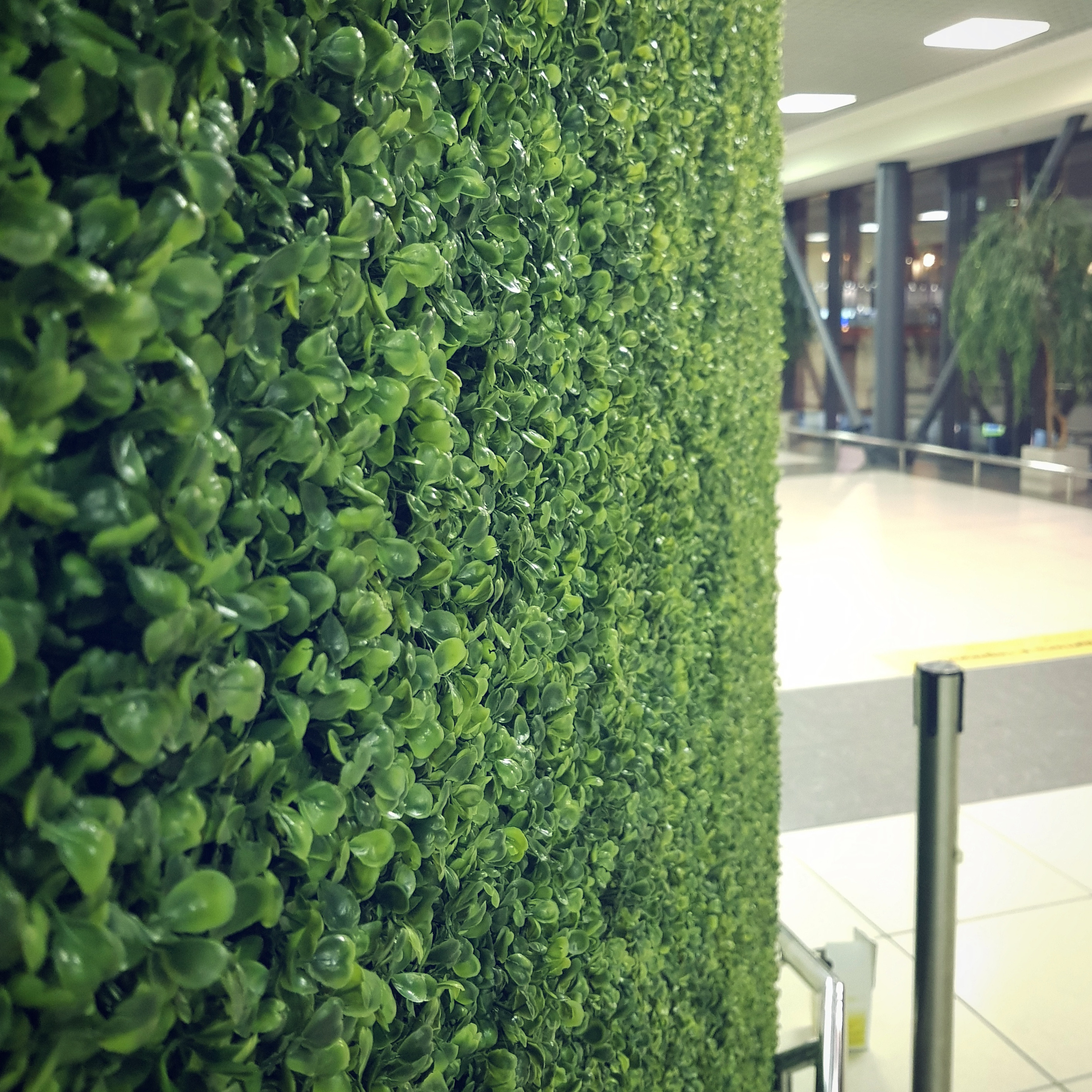 Озеленение Шереметьево. Кризисный и телесно-ориентированный психолог в Москве Печора Катерина✨