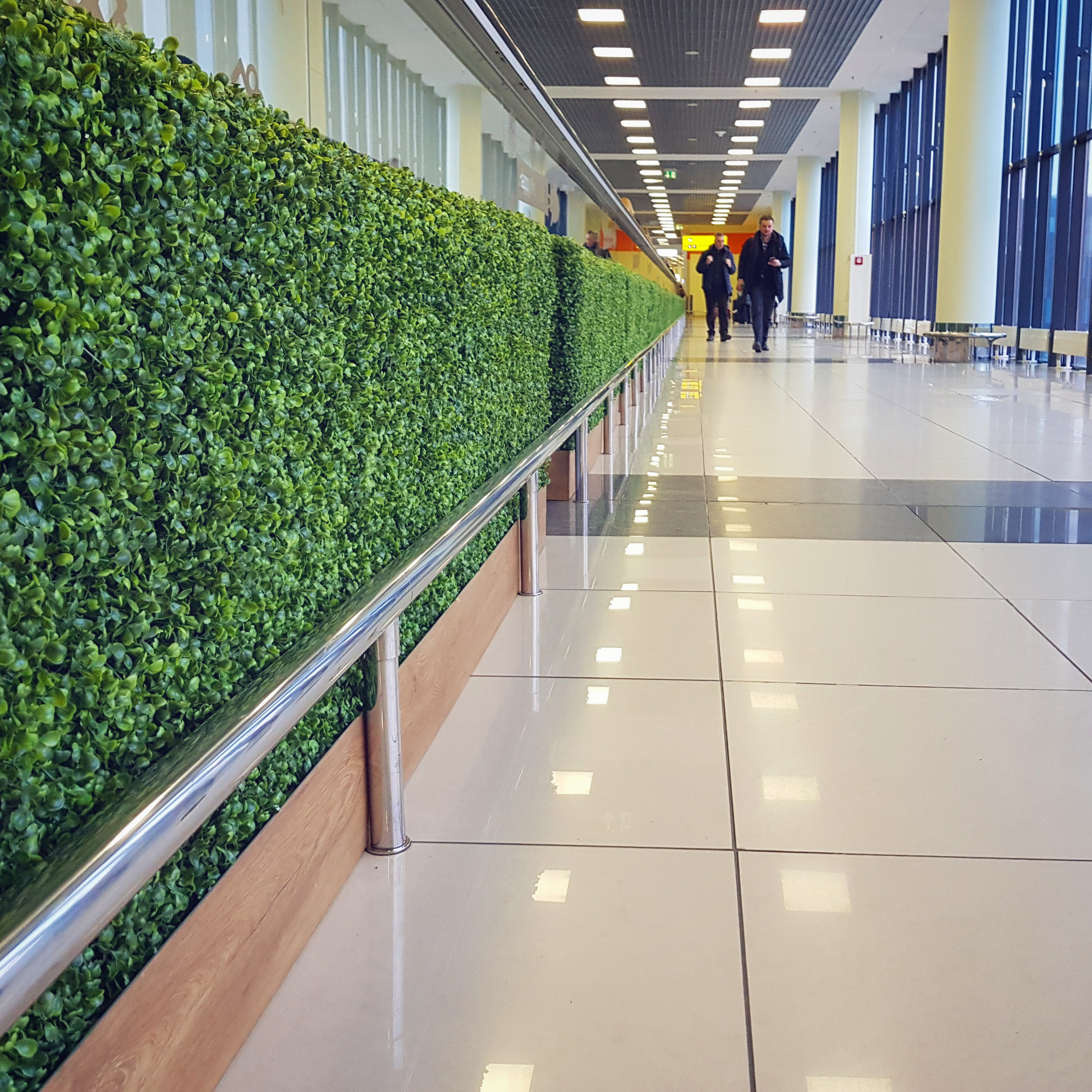 Озеленение Шереметьево. Кризисный и телесно-ориентированный психолог в Москве Печора Катерина✨