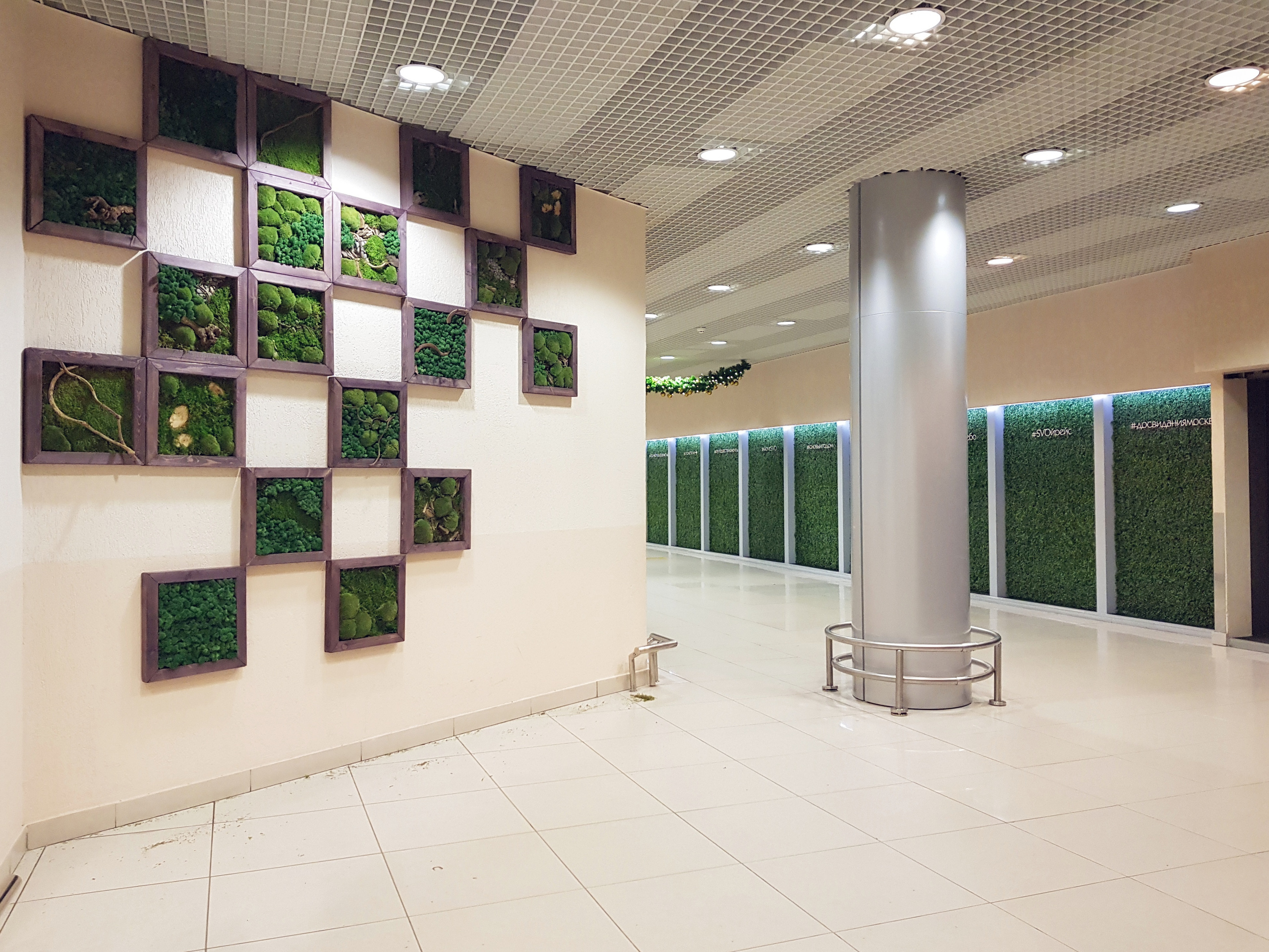 Озеленение Шереметьево. Кризисный и телесно-ориентированный психолог в Москве Печора Катерина✨