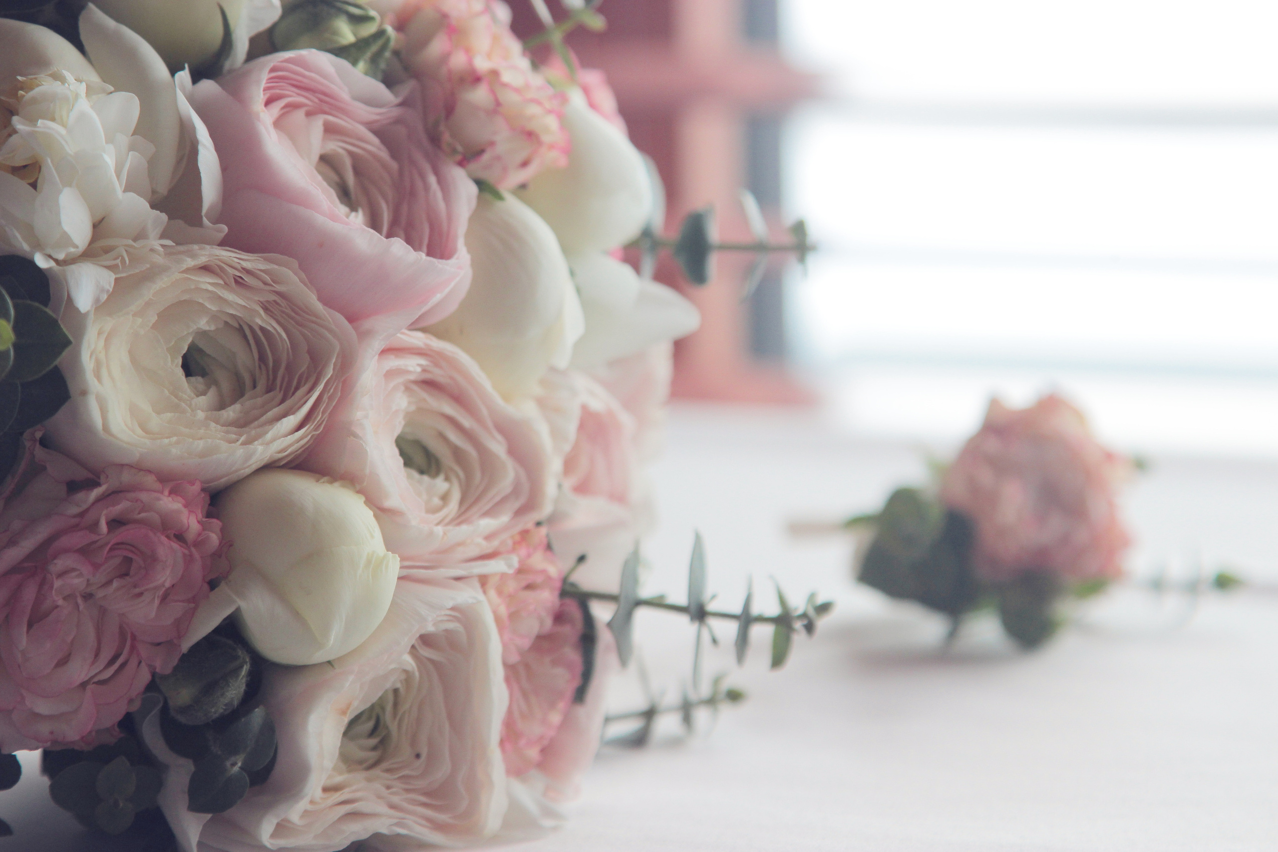 Флористика. Кризисный и телесно-ориентированный психолог в Москве Печора Катерина✨