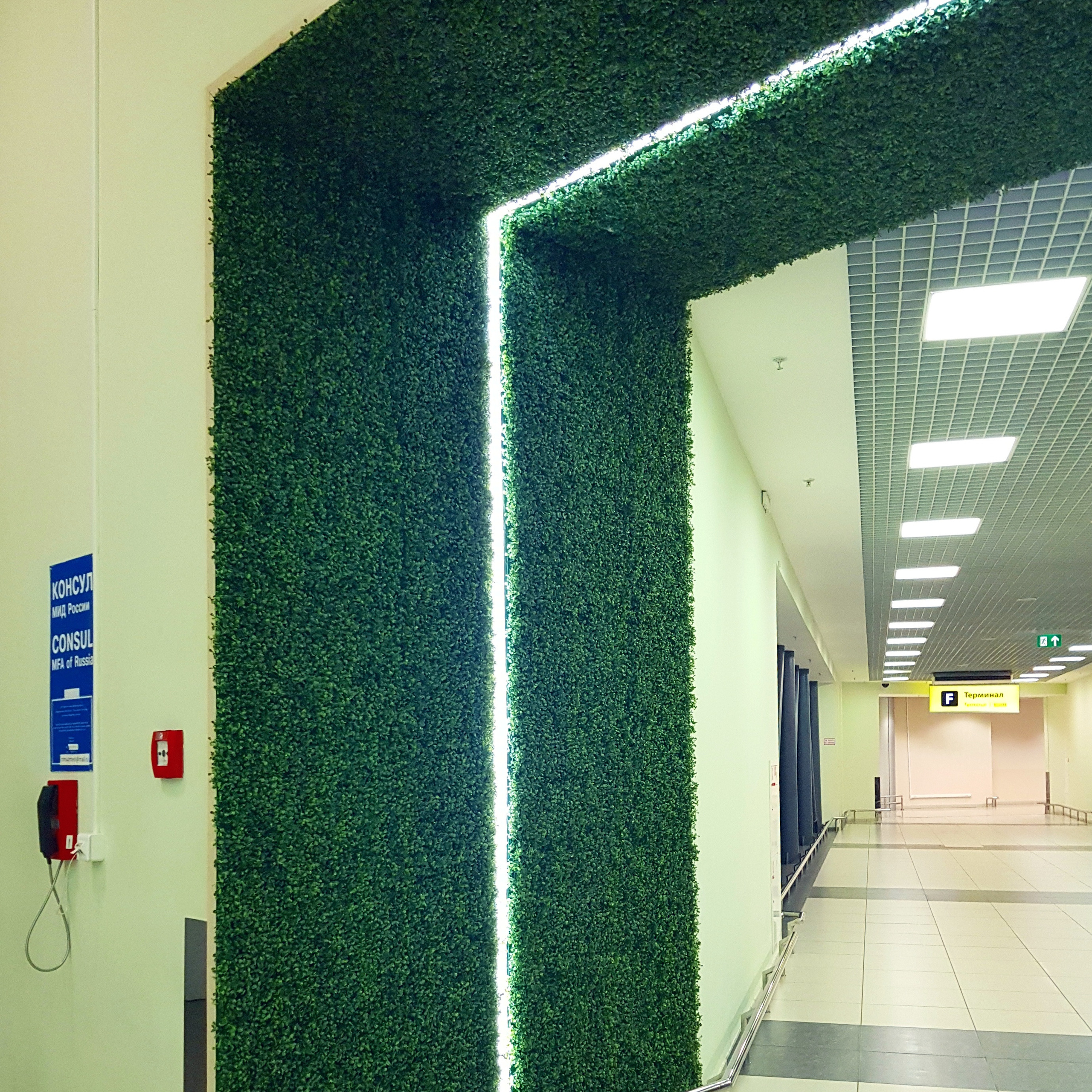 Озеленение Шереметьево. Кризисный и телесно-ориентированный психолог в Москве Печора Катерина✨