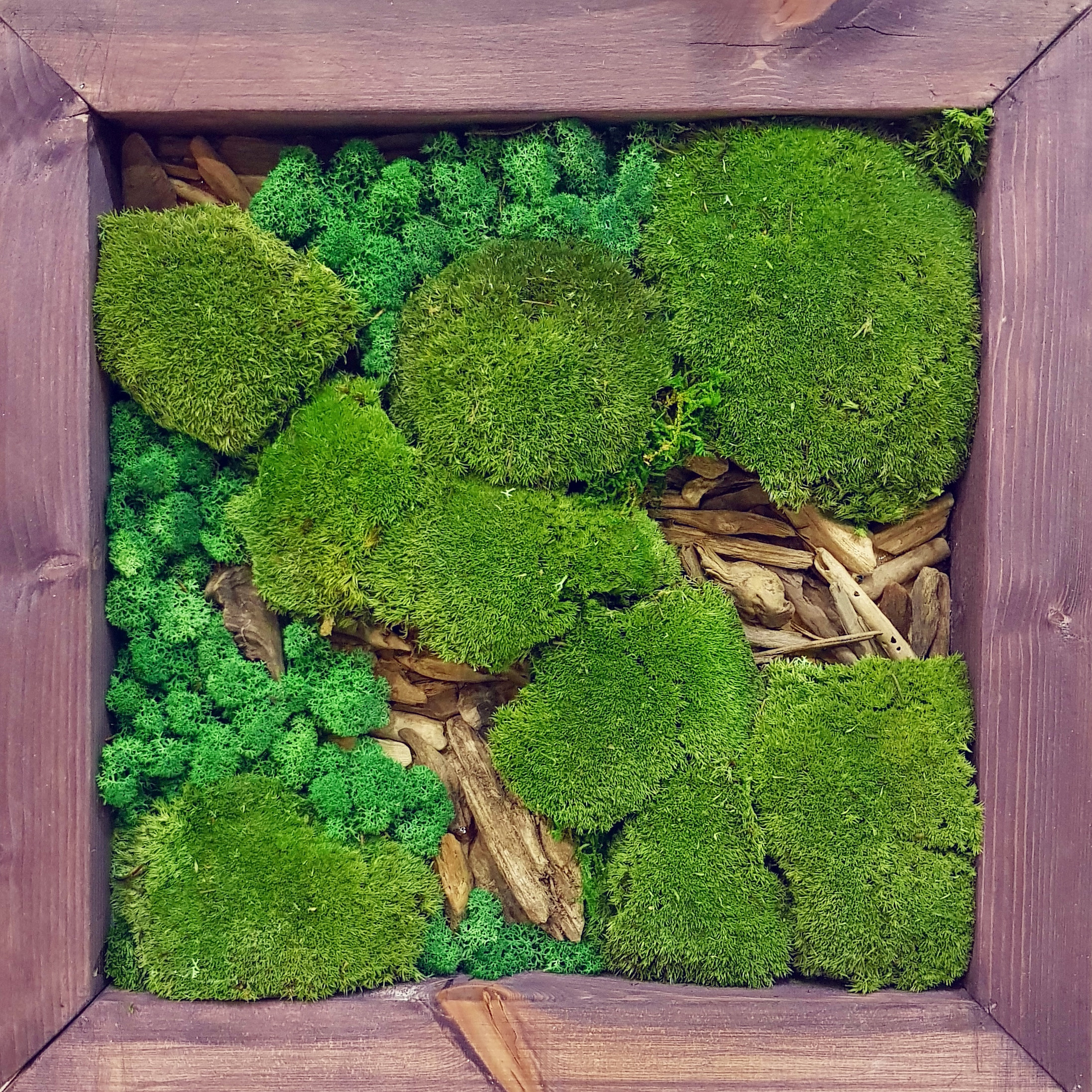 Озеленение Шереметьево. Кризисный и телесно-ориентированный психолог в Москве Печора Катерина✨