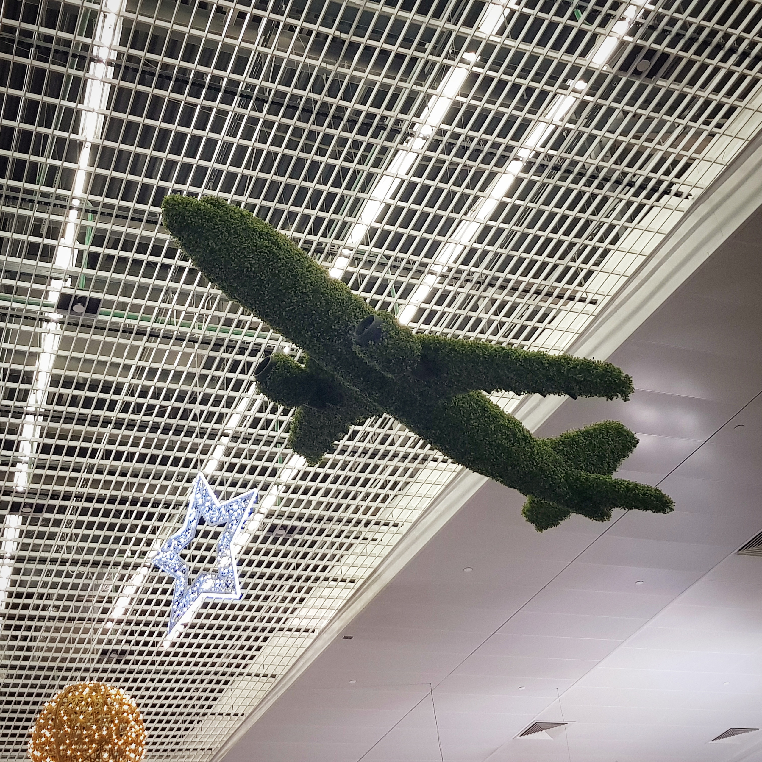 Озеленение Шереметьево. Кризисный и телесно-ориентированный психолог в Москве Печора Катерина✨