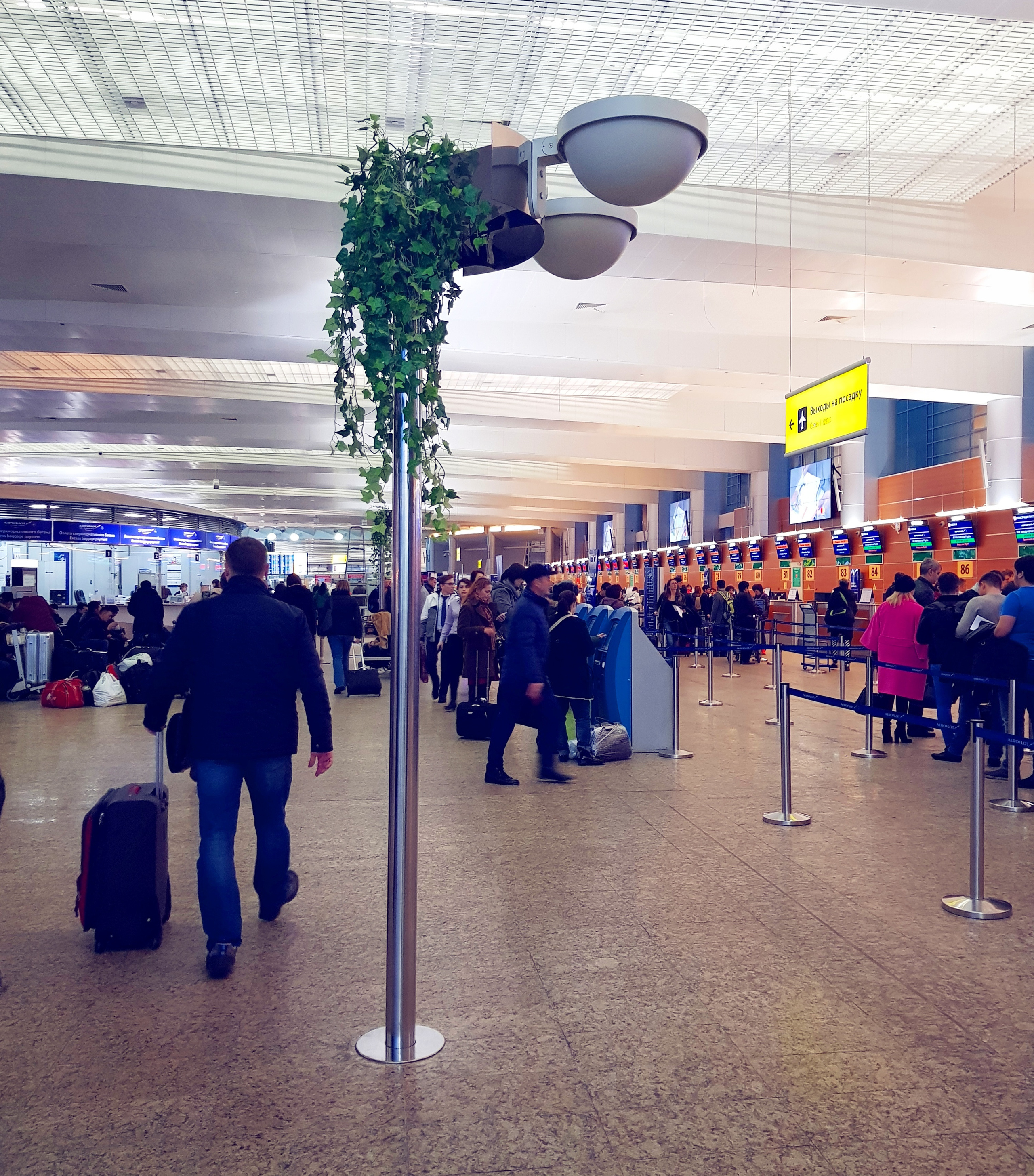 Озеленение Шереметьево. Кризисный и телесно-ориентированный психолог в Москве Печора Катерина✨