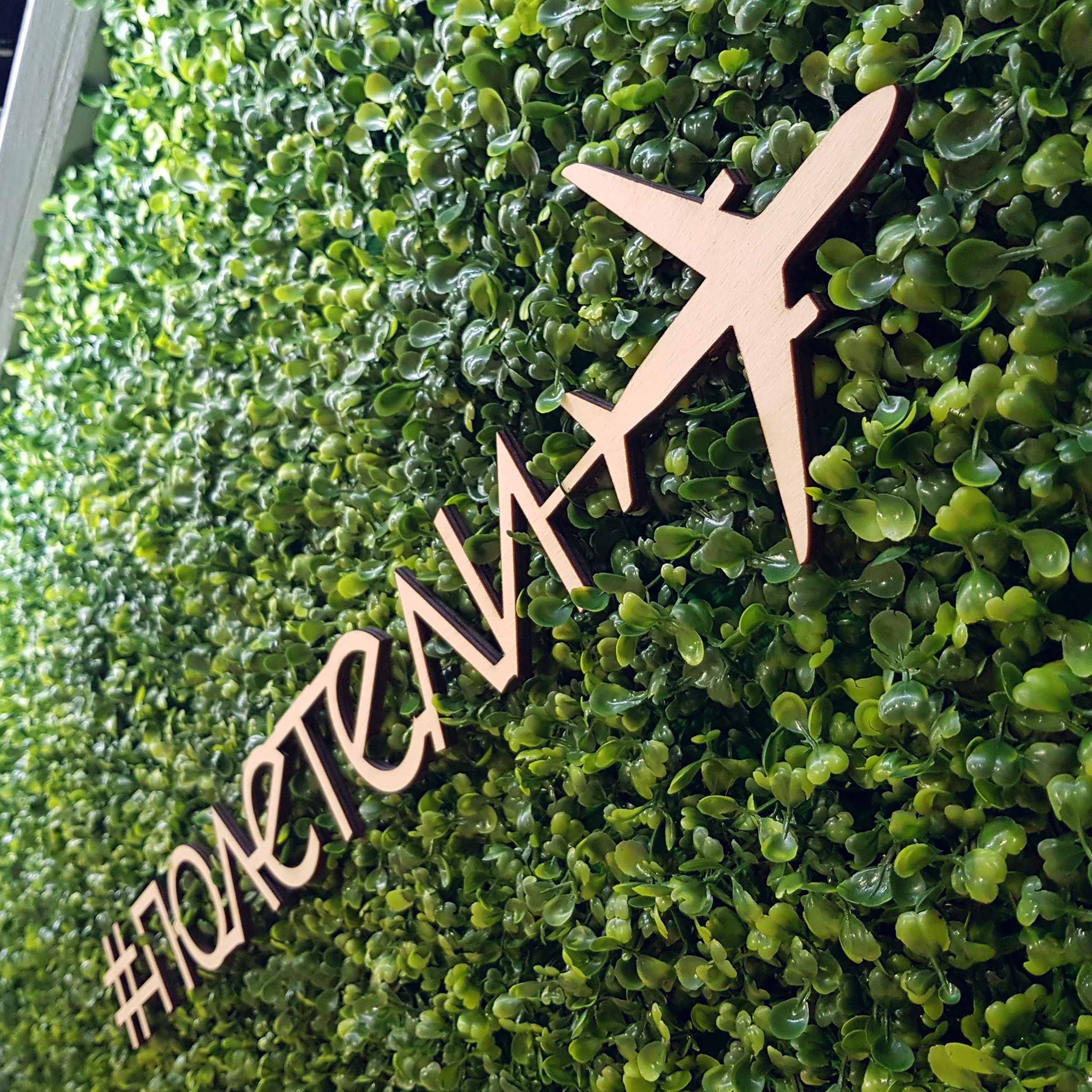 Озеленение Шереметьево. Кризисный и телесно-ориентированный психолог в Москве Печора Катерина✨