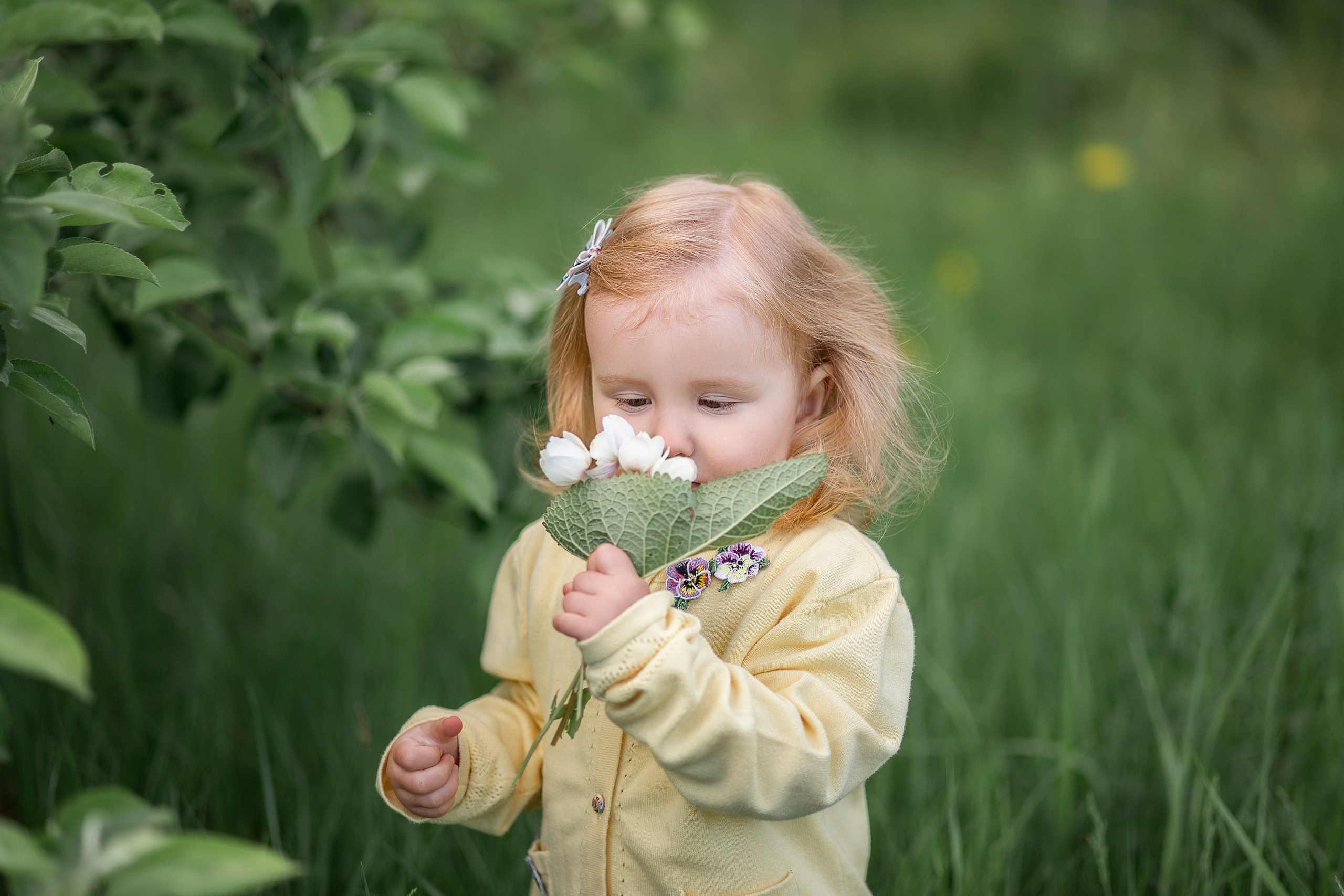 Летний пикник под яблонями. Детский и семейный фотограф в Красноярске Юлия Бирюкова