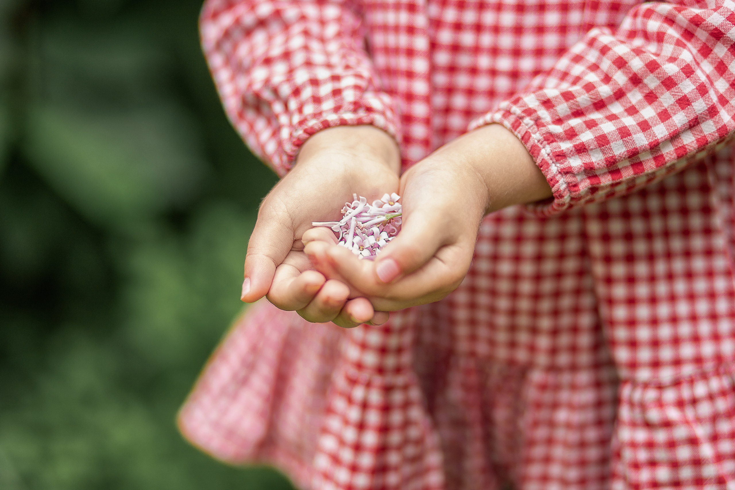 Летний дождик и сирень. Детский и семейный фотограф в Красноярске Юлия Бирюкова