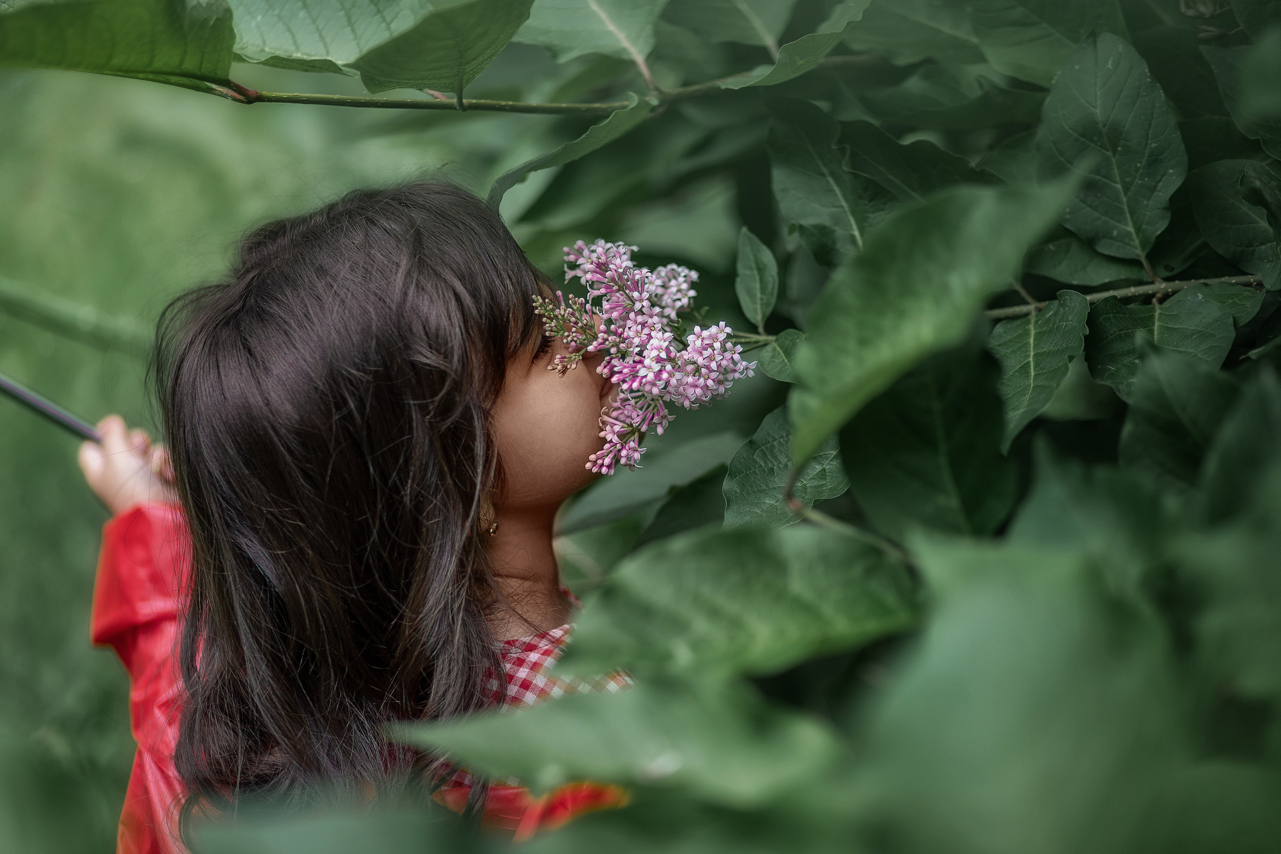 Летний дождик и сирень. Детский и семейный фотограф в Красноярске Юлия Бирюкова