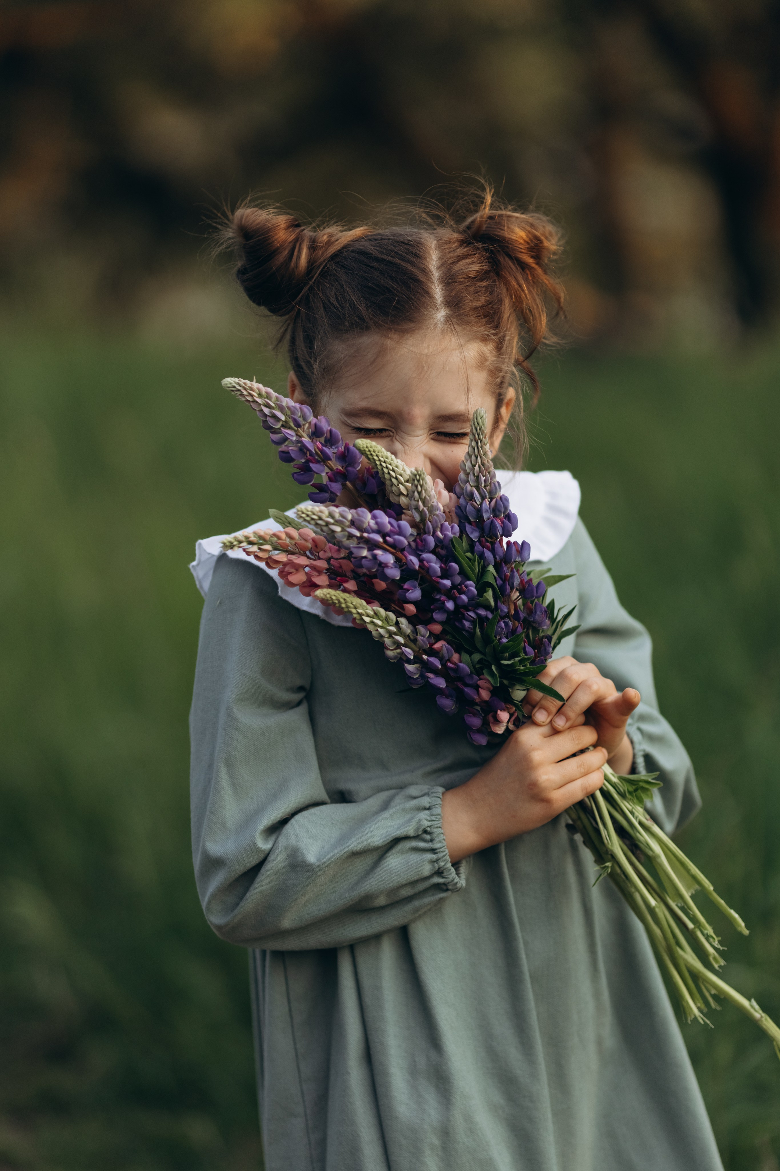В люпинах. Фотограф Людмила Оюн