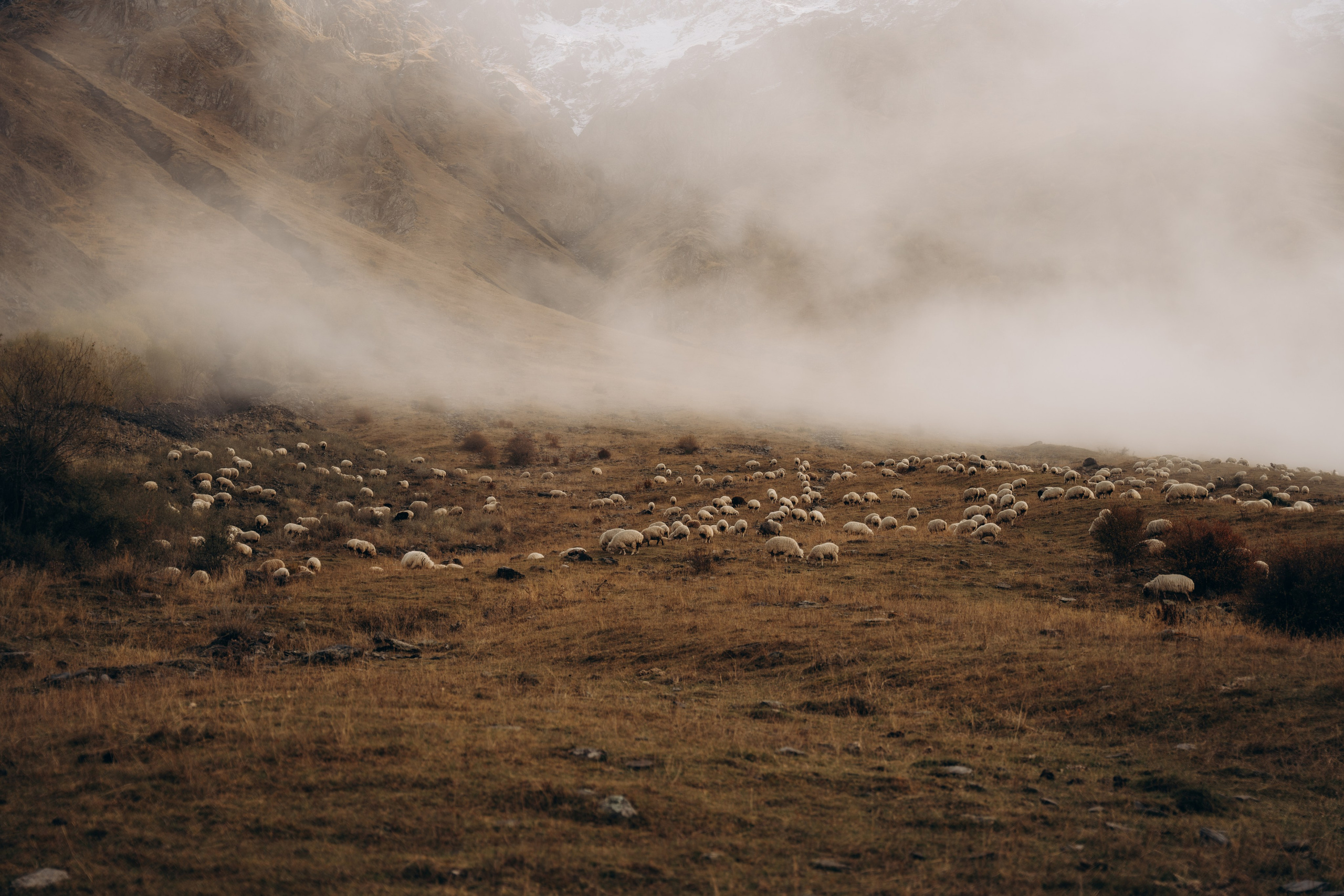 Грузия. Фотограф в Минске — Мария Миллс