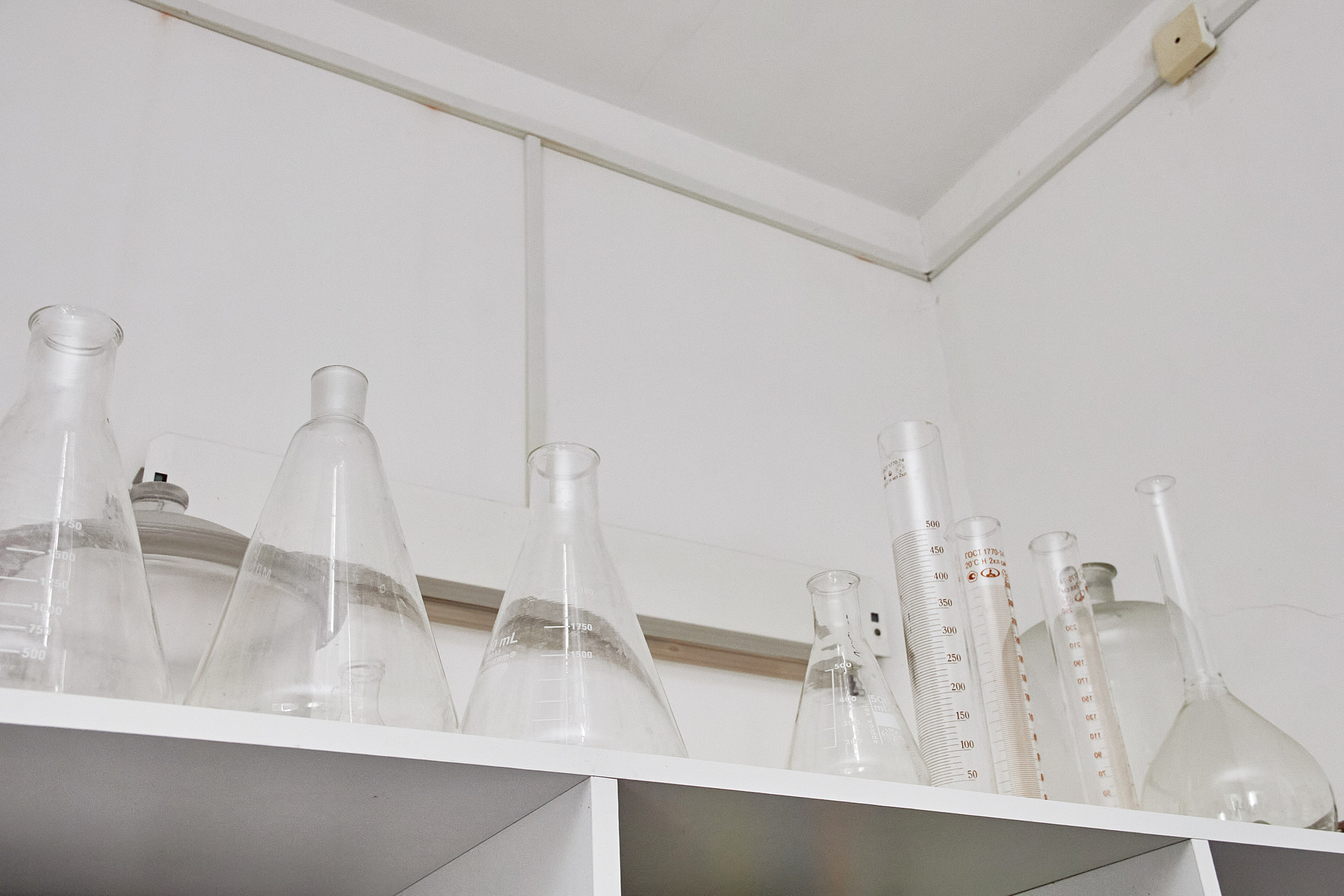 Экскурсия «Агроферма-Катынь». Фотограф в Смоленске Ася Польшина