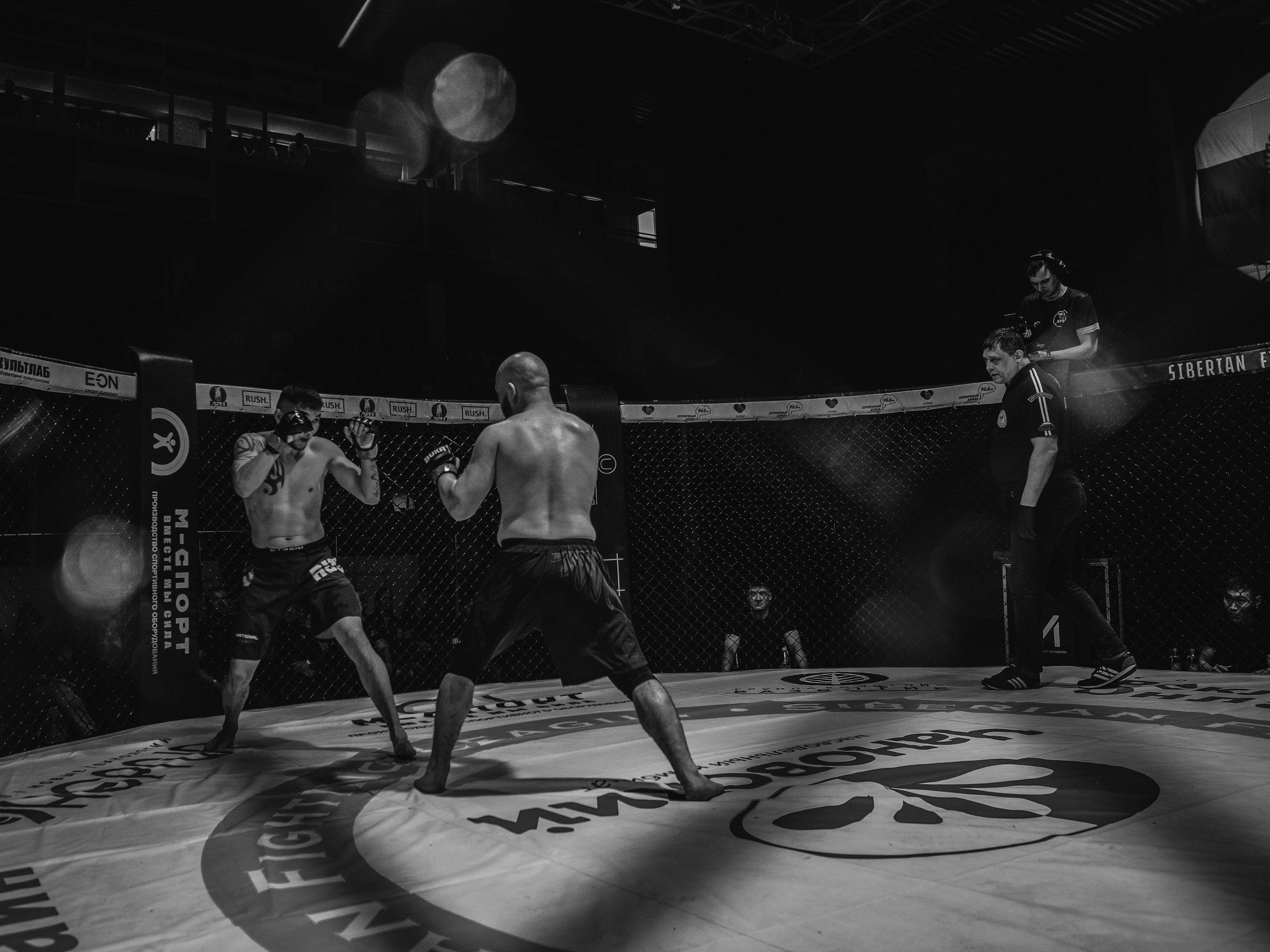 SFL 17 | Siberian Fighting League. Портретный фотограф в Москве Дарья Цезария