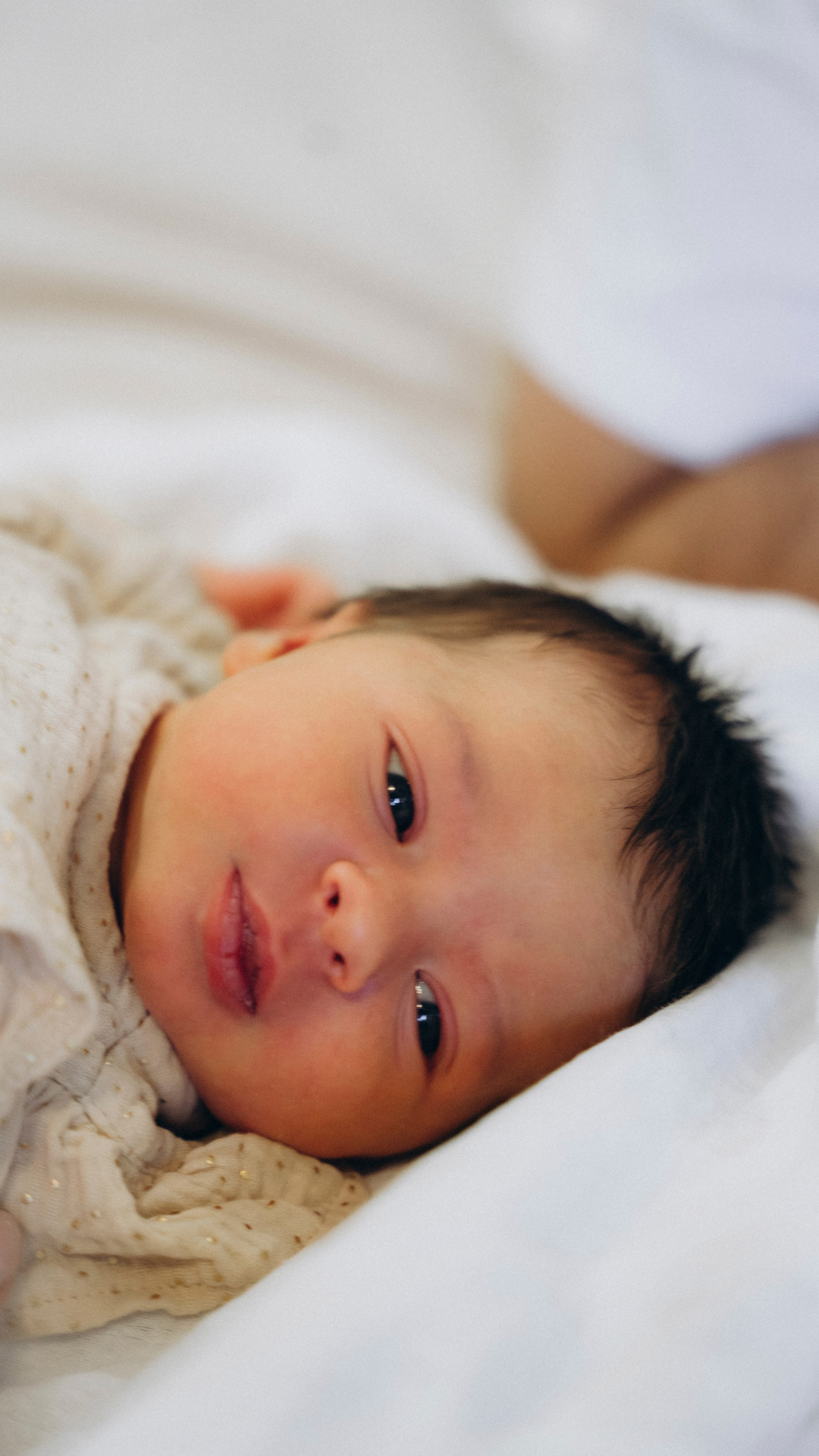 Вика и Дима. Аплас Анастасия