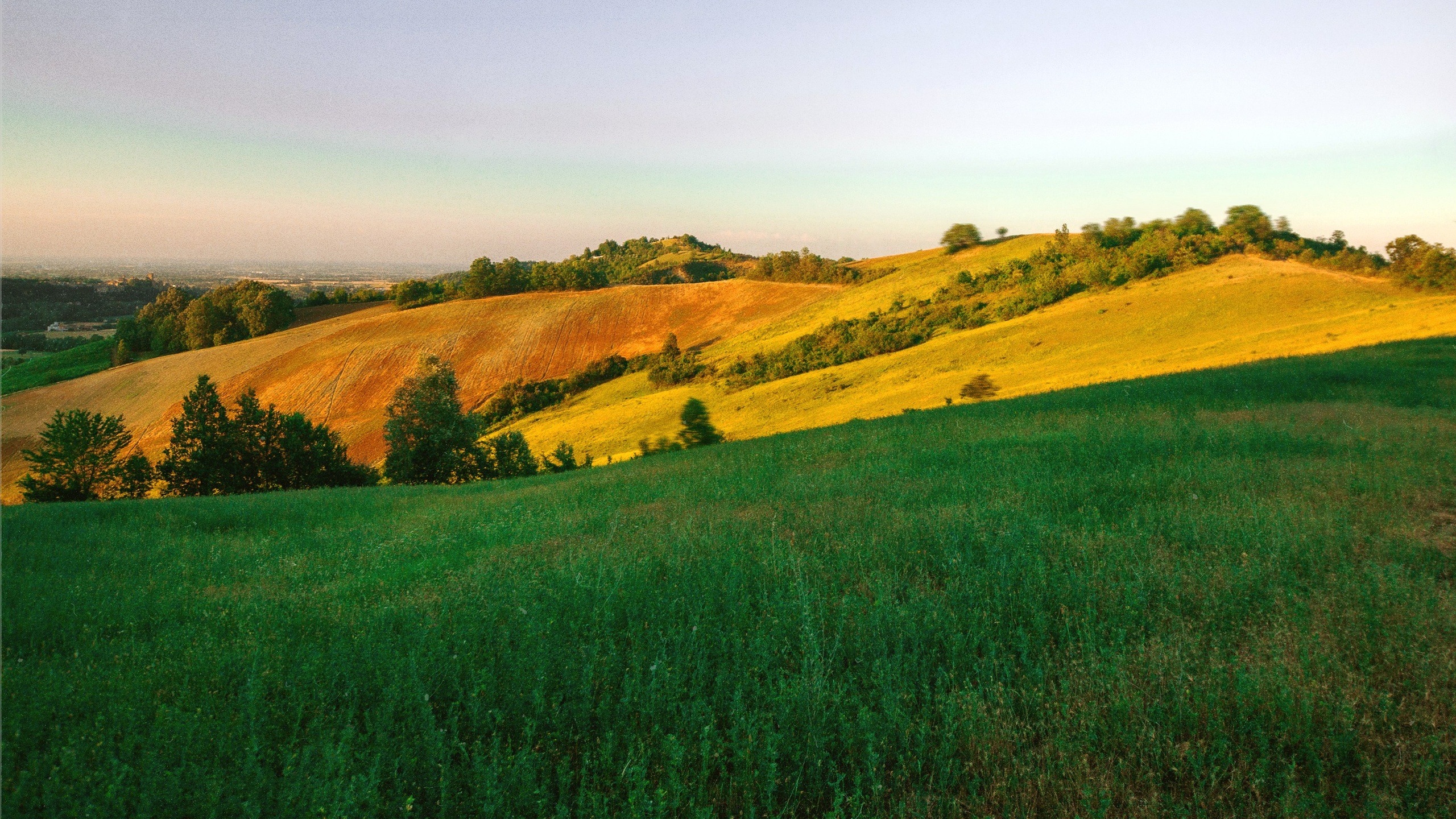 N a t u r e. Your photographer