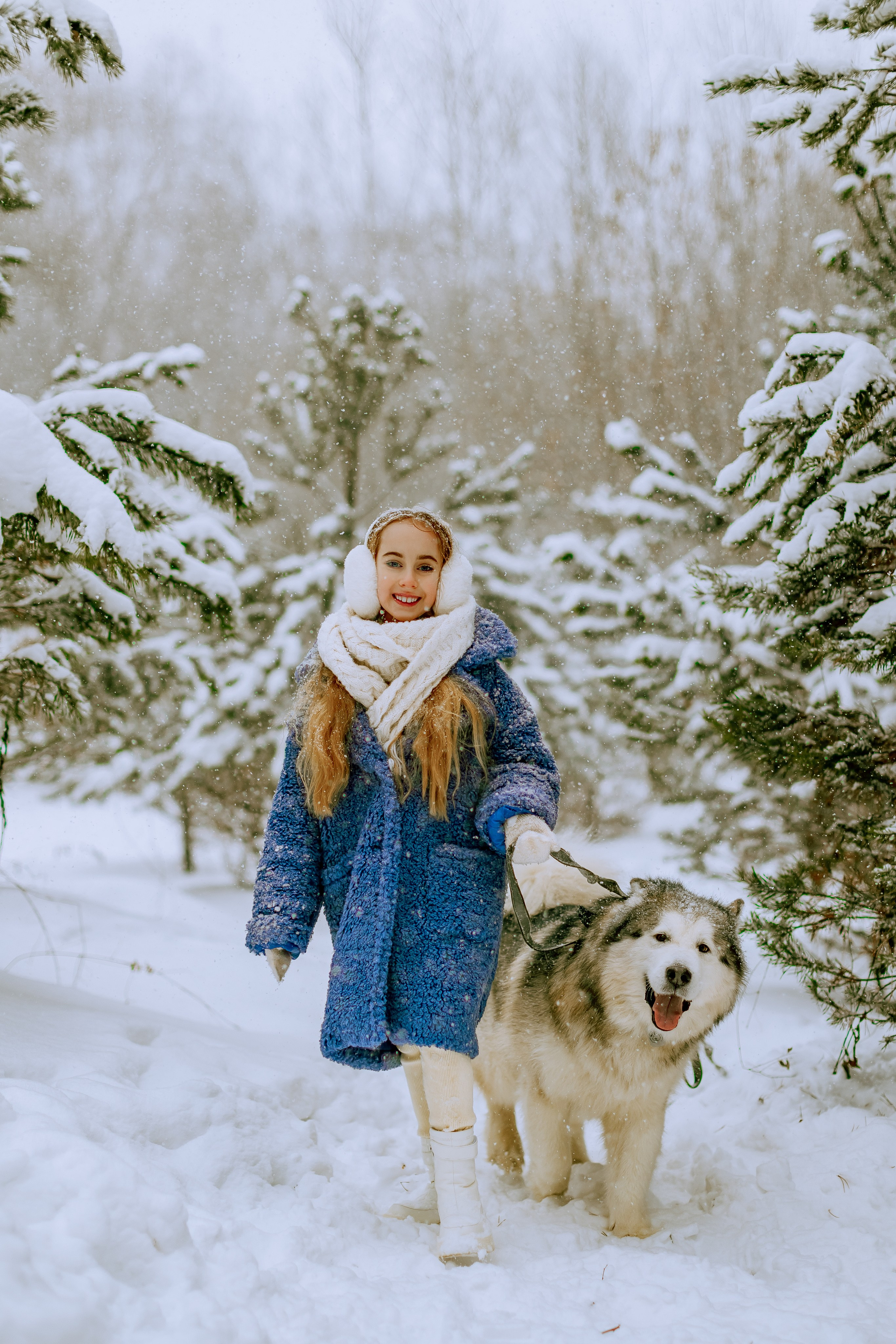 София и аляскинский маламут. Фото и видео Москва, Московский. Свадебный фотограф, видеограф, фотосессии, видеосъемка