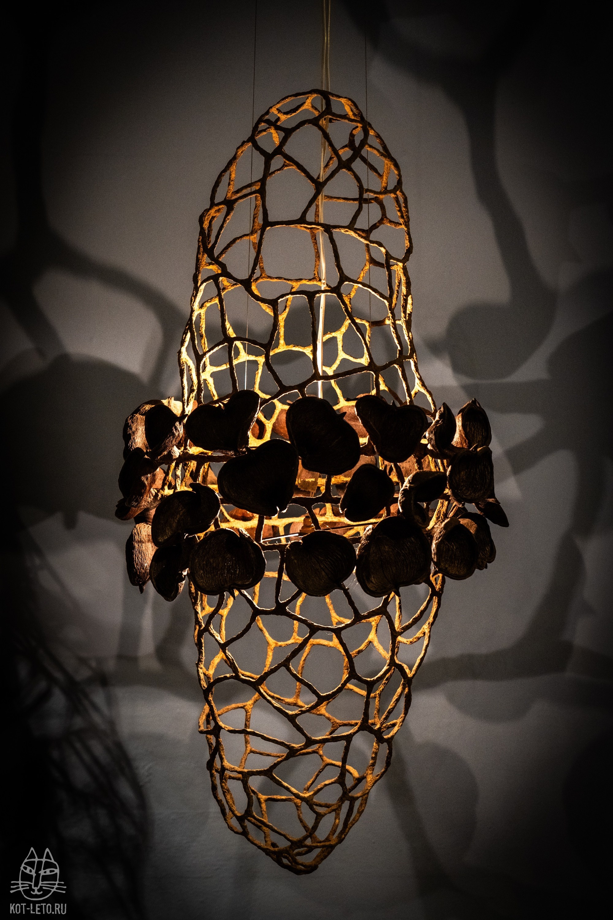 Exhibition BIOPHILIA (Goa). Твой фотограф — Полосатый кот